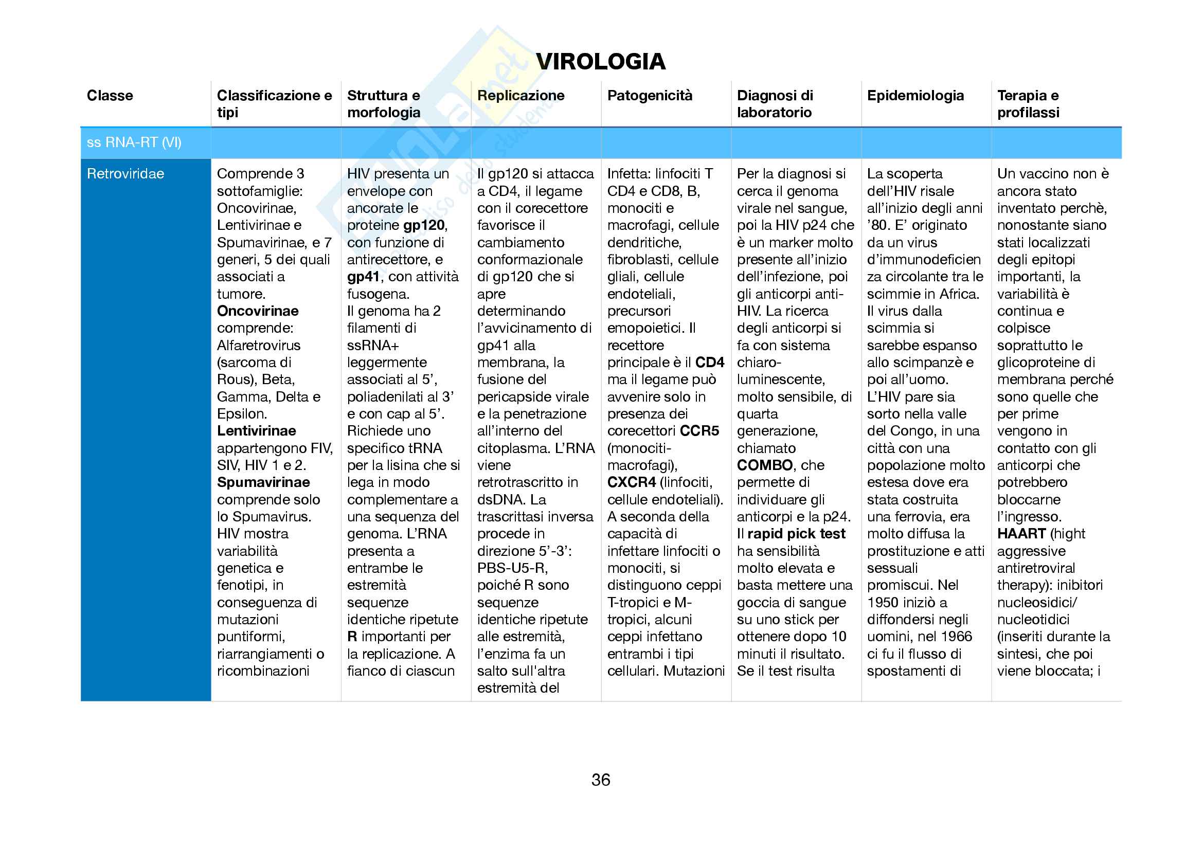 Virologia: tabella riassuntiva delle principali caratteristiche di ogni famiglia virale. Trattazione di alcuni virus più importanti nello specifico Pag. 36