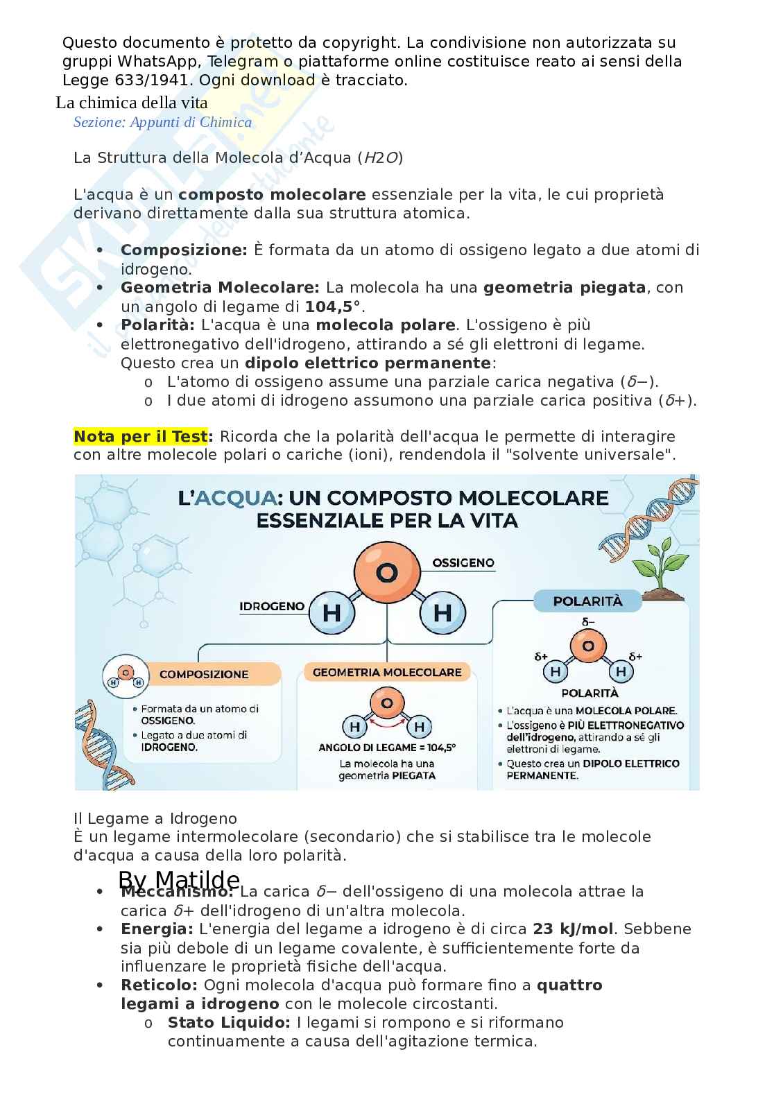Biologia, chimica - Acqua, una molecola polare Pag. 1