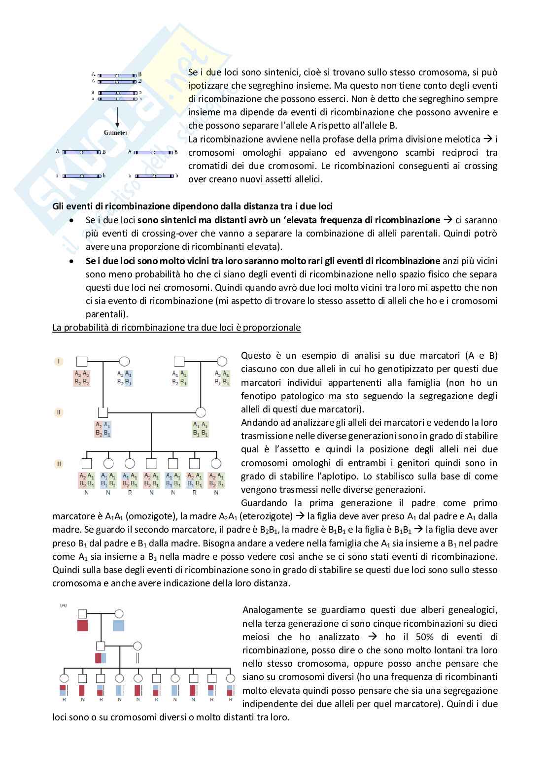 Genetica molecolare Pag. 71