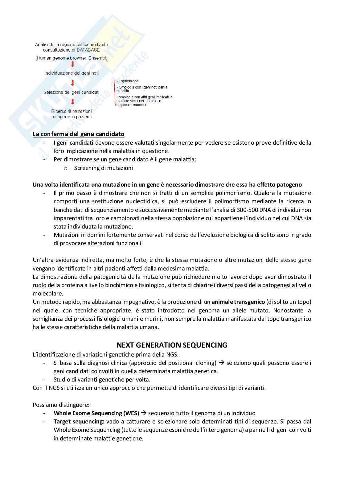 Genetica molecolare Pag. 86