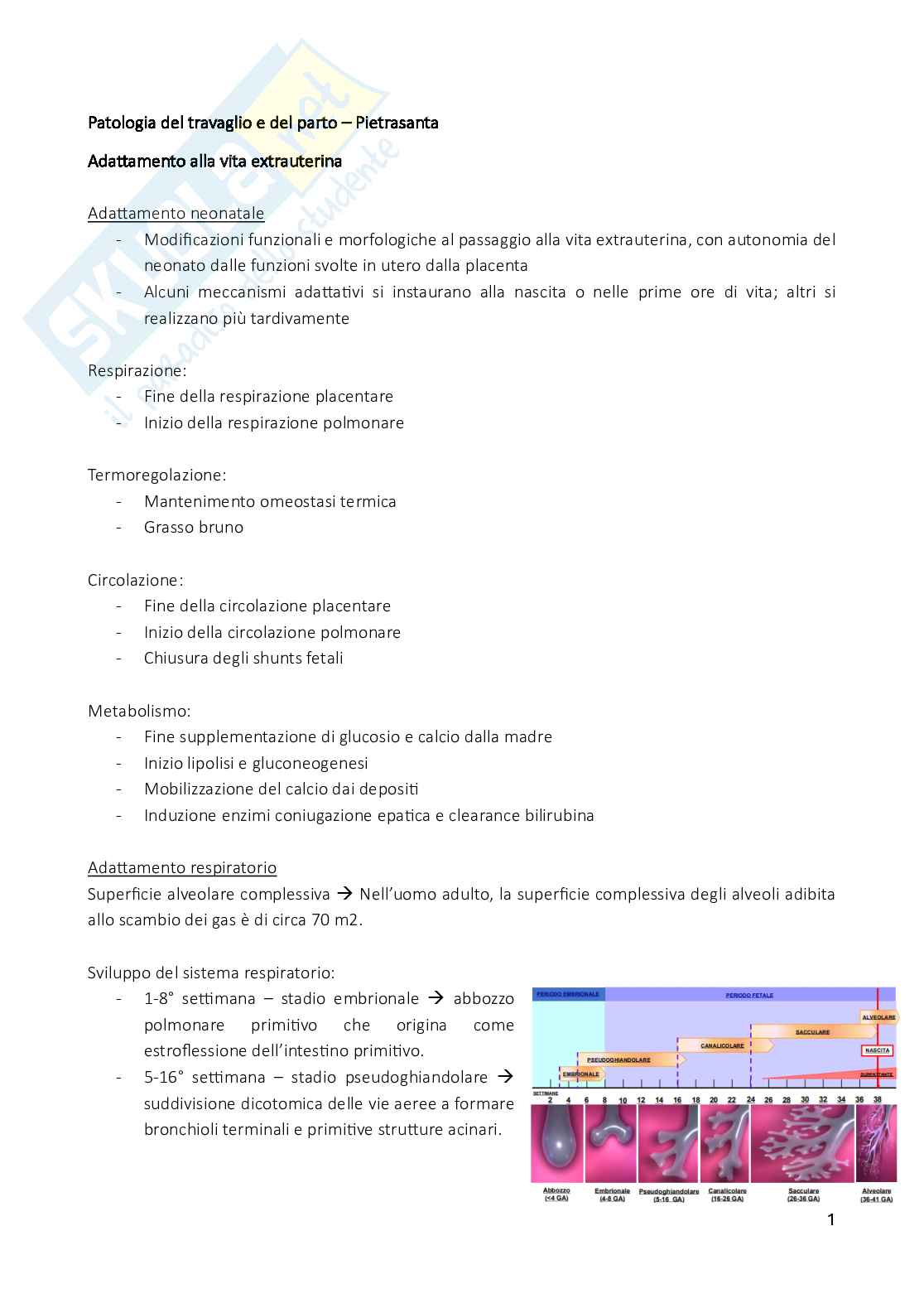 Neonatologia Pag. 1