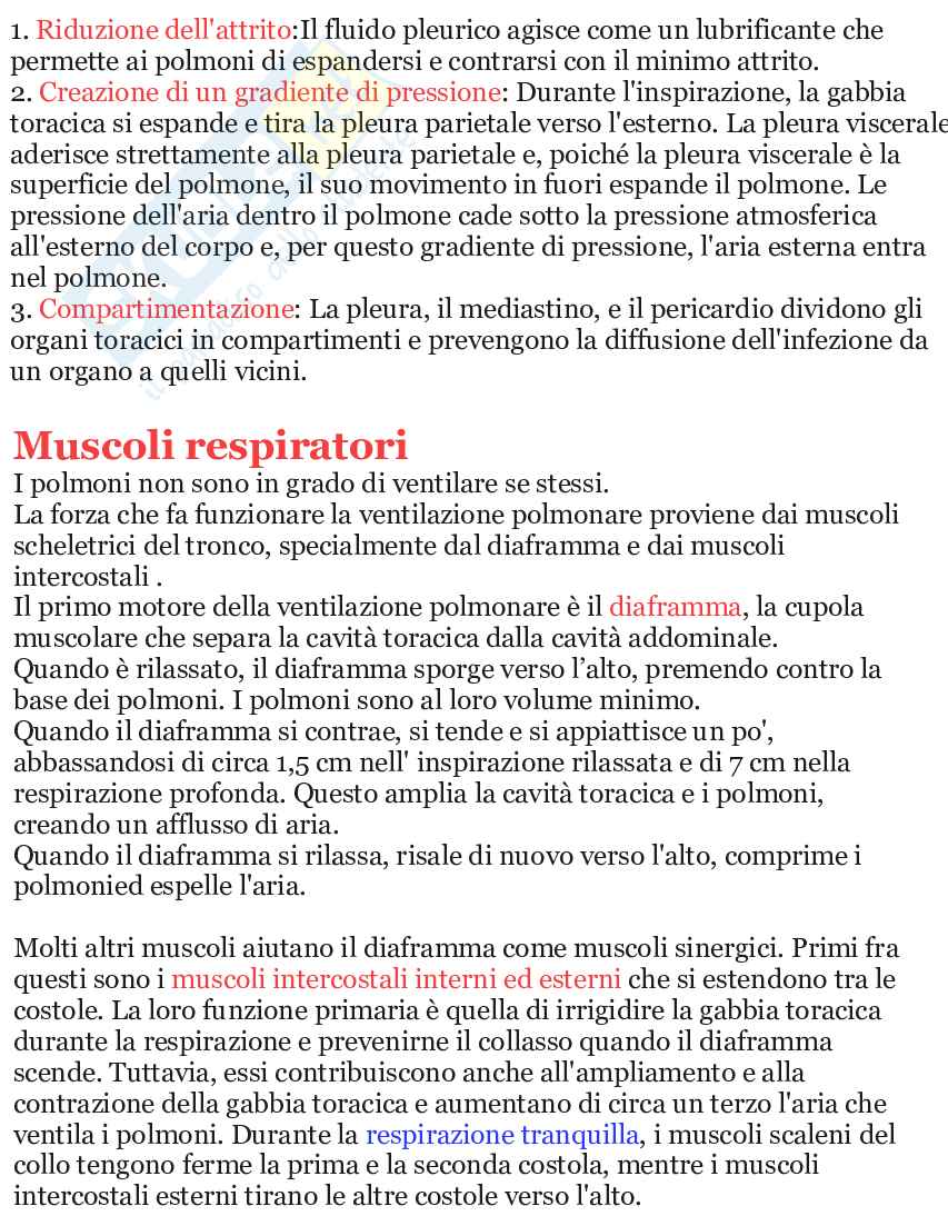 Riassunto esame L’apparato respiratorio, Prof. Martellucci Emanuela, libro consigliato Anatomia umana, Saladin Pag. 11