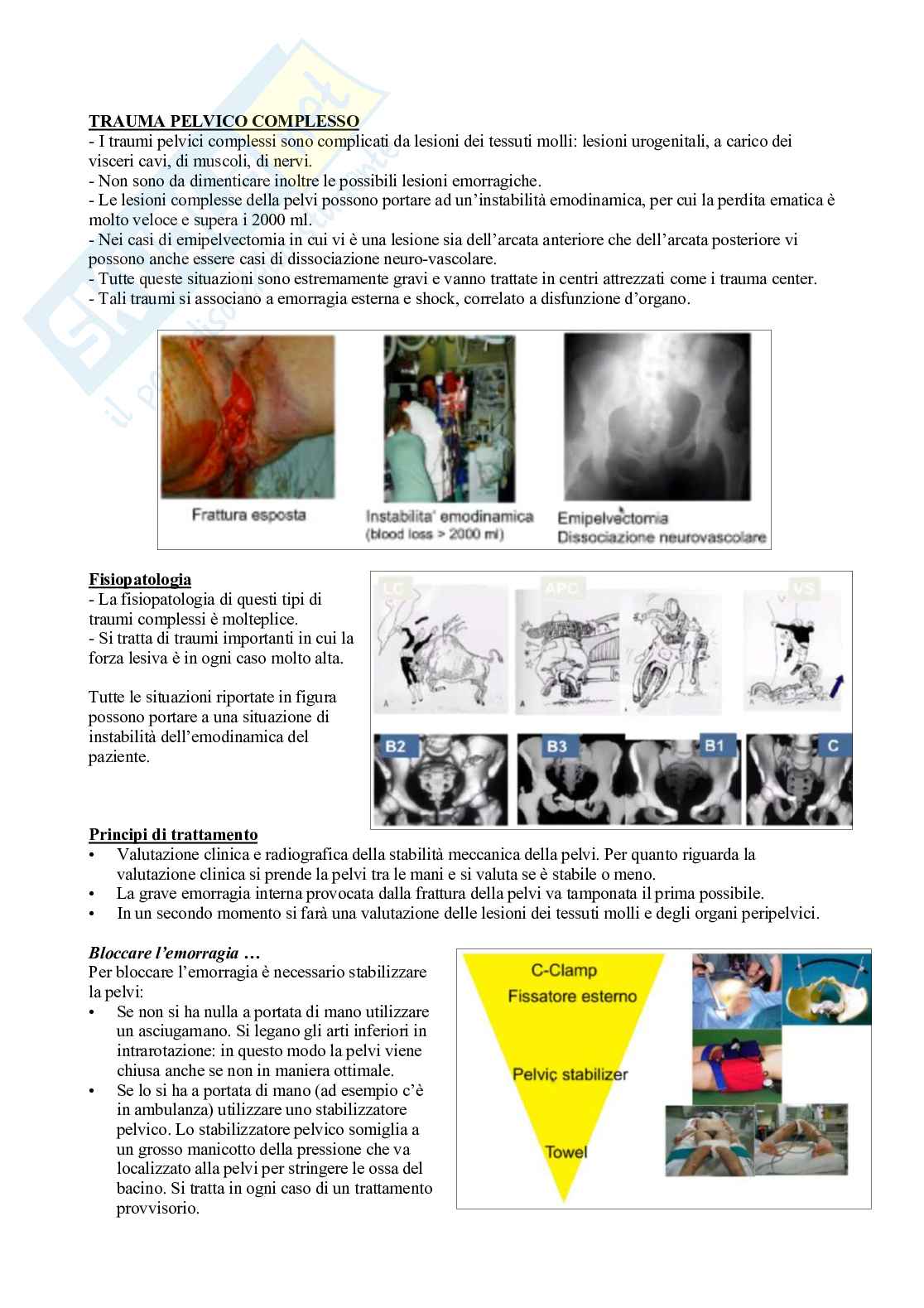 Fisioterapia - Appunti di ortopedia e traumatologia   Pag. 2