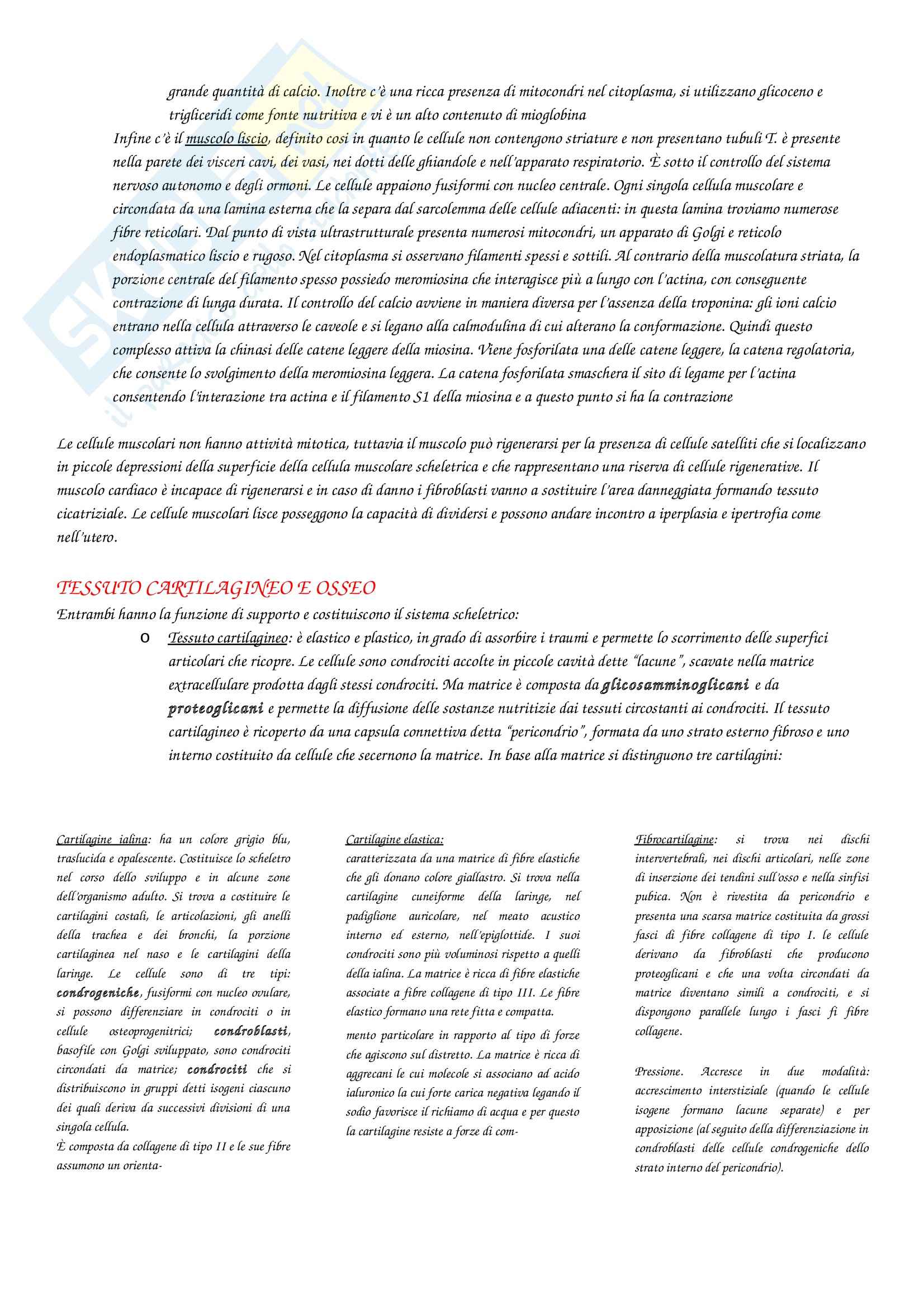 Anatomia con elementi di istologia - elementi di istologia Pag. 6
