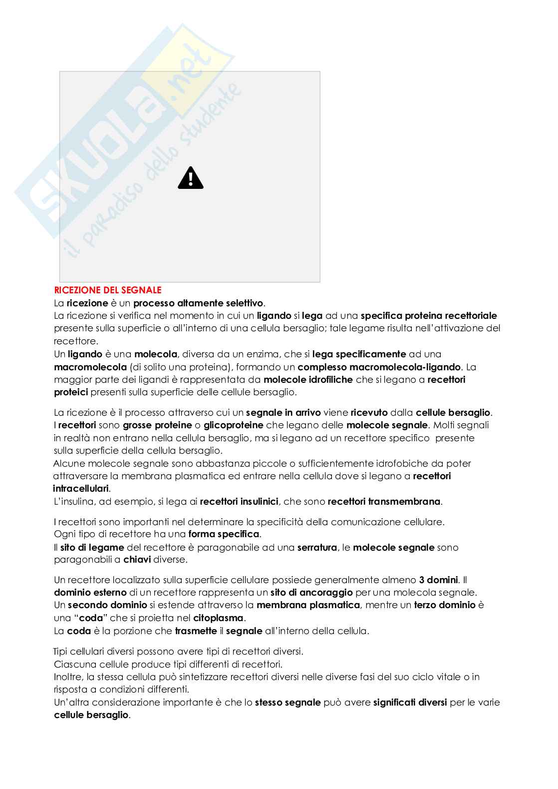 Biologia cellulare Pag. 61