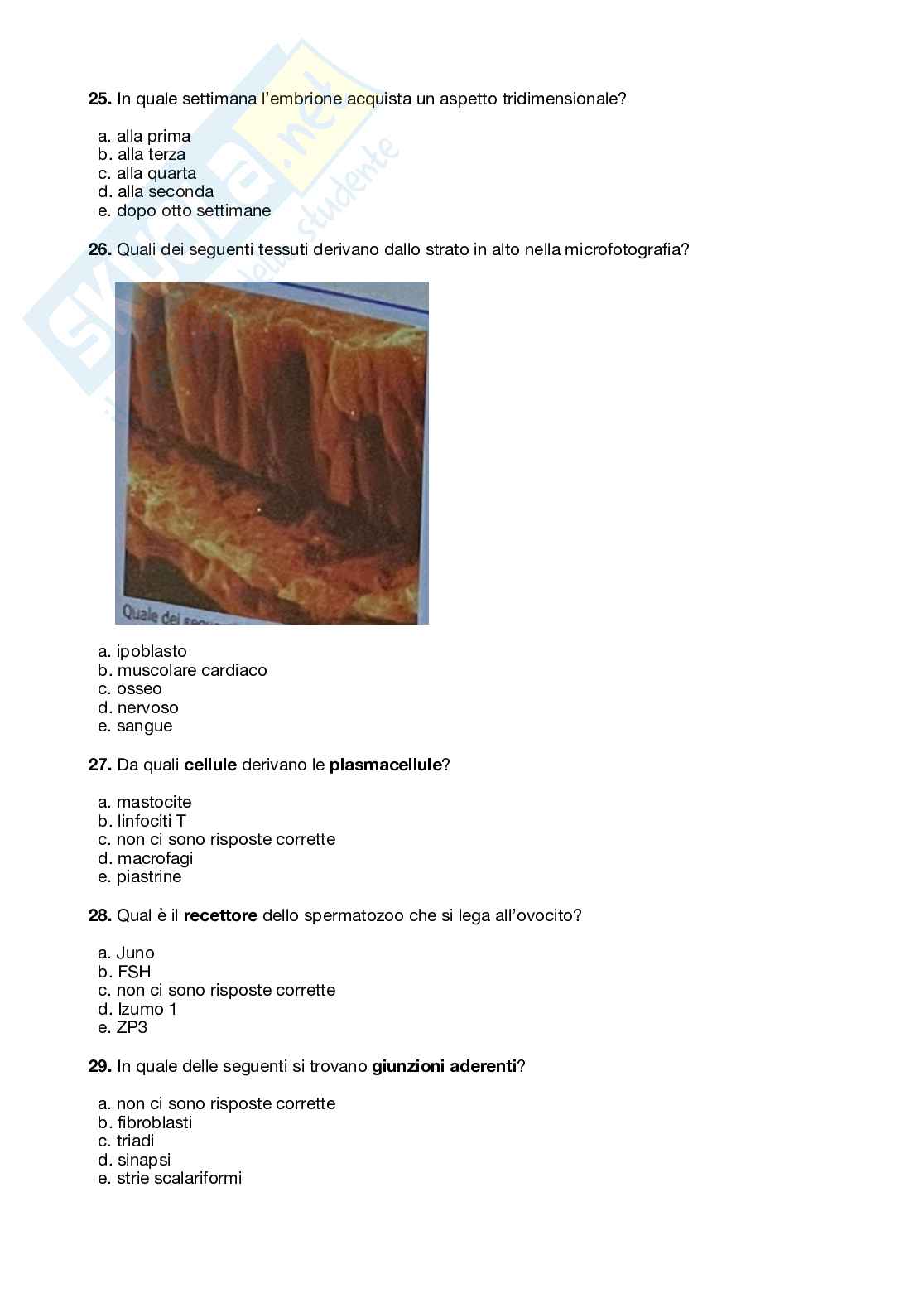 Istologia Pag. 6