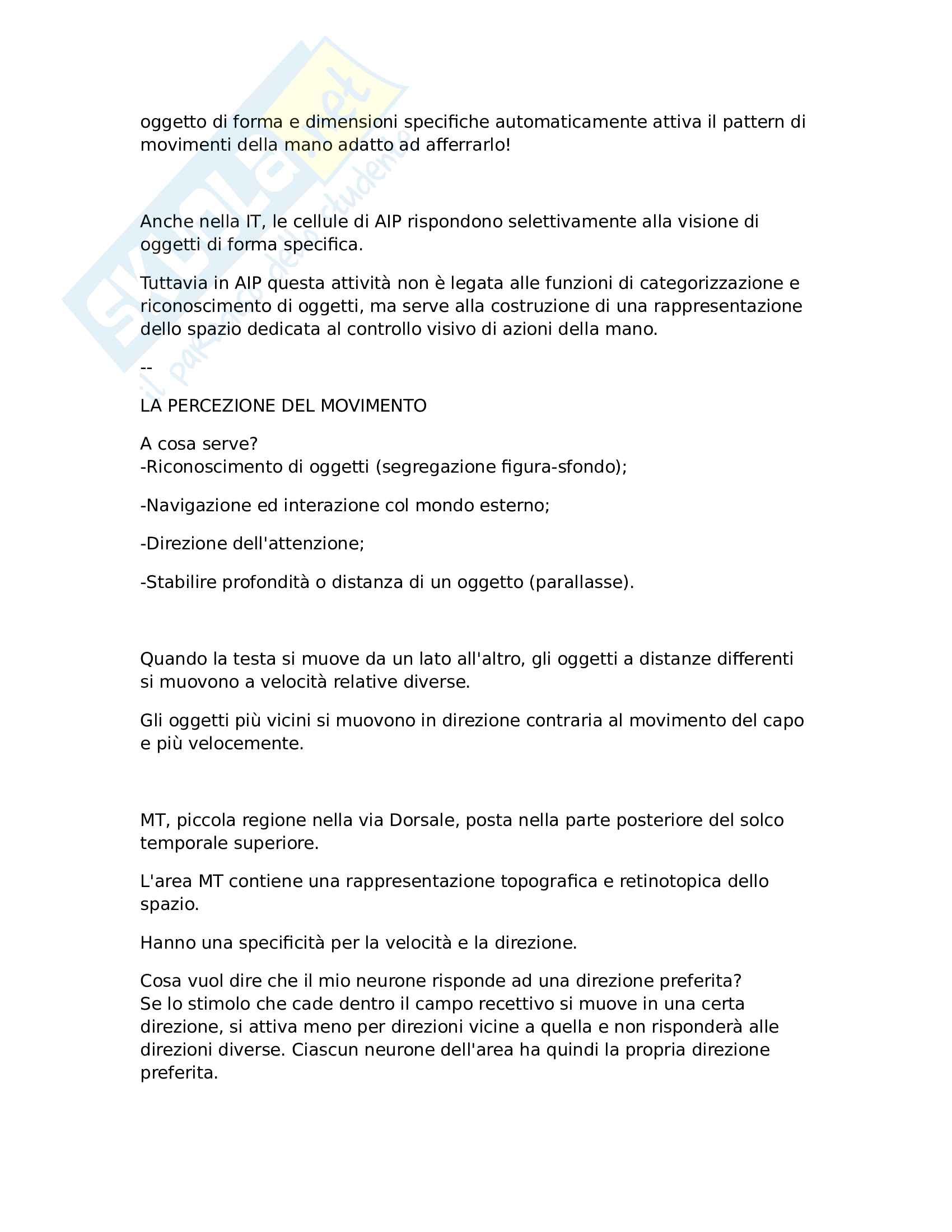 Neuroscienze Cognitive - Primo Parziale Pag. 31