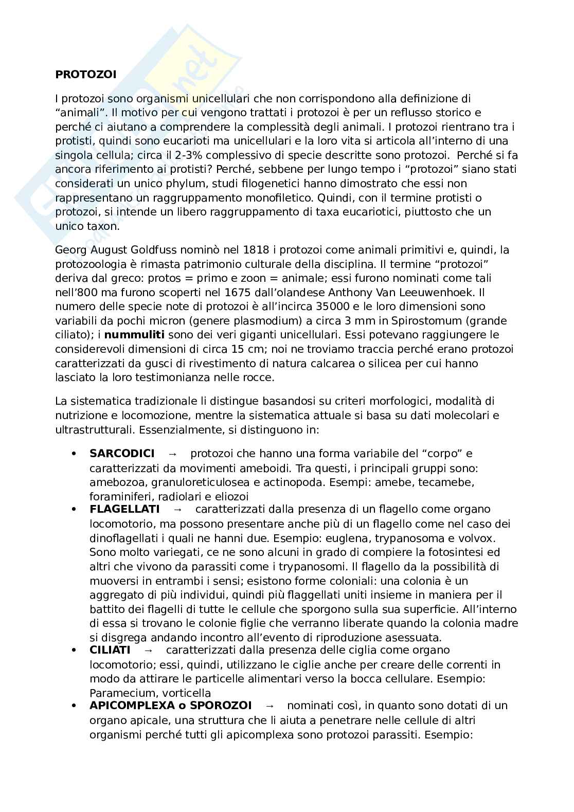 Protozoi Pag. 1