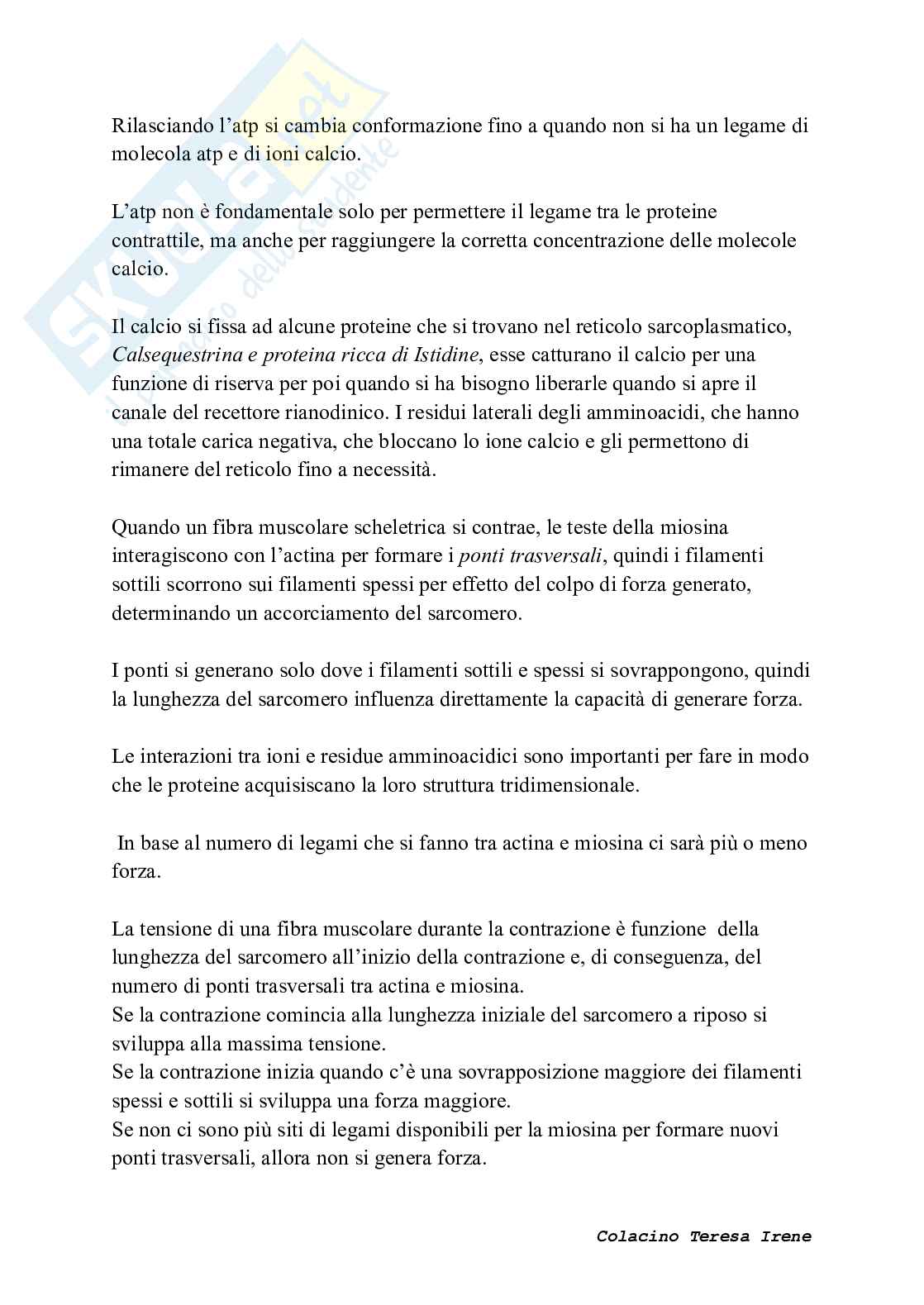 Biochimica dell’esercizio fisico: meccanismi di contrazione e adattamento ad allenamento  Pag. 11