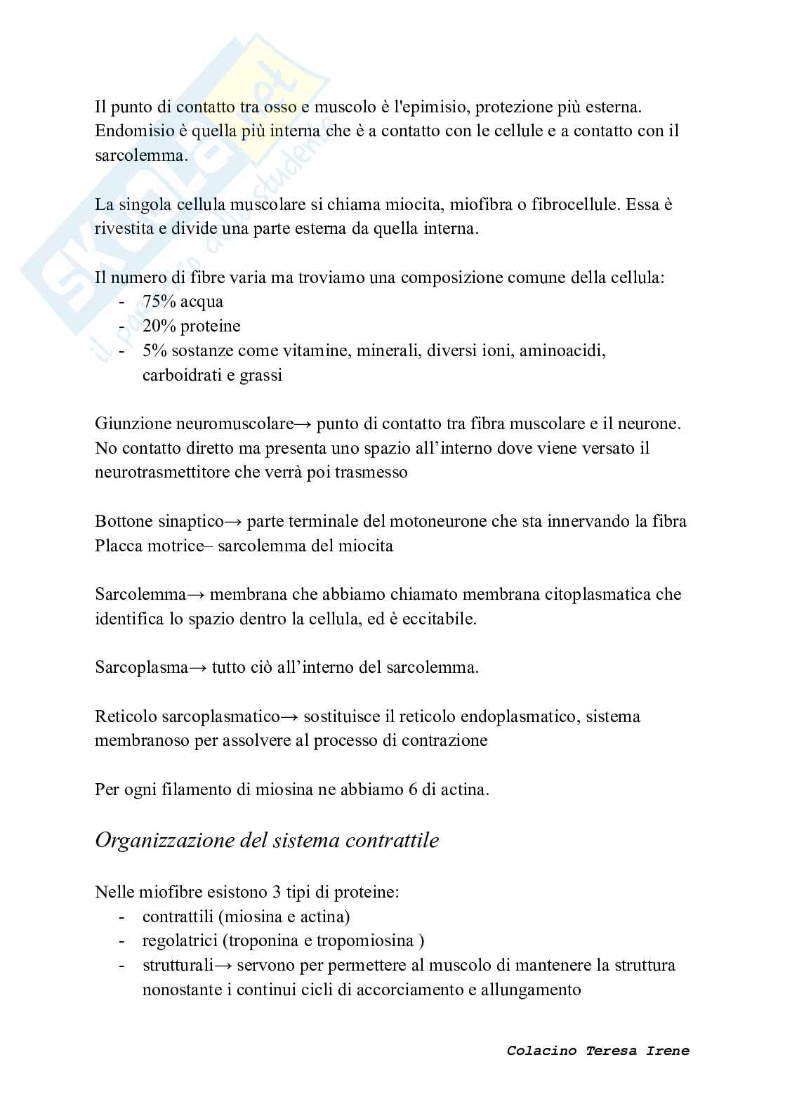 Biochimica dell’esercizio fisico: meccanismi di contrazione e adattamento ad allenamento  Pag. 2