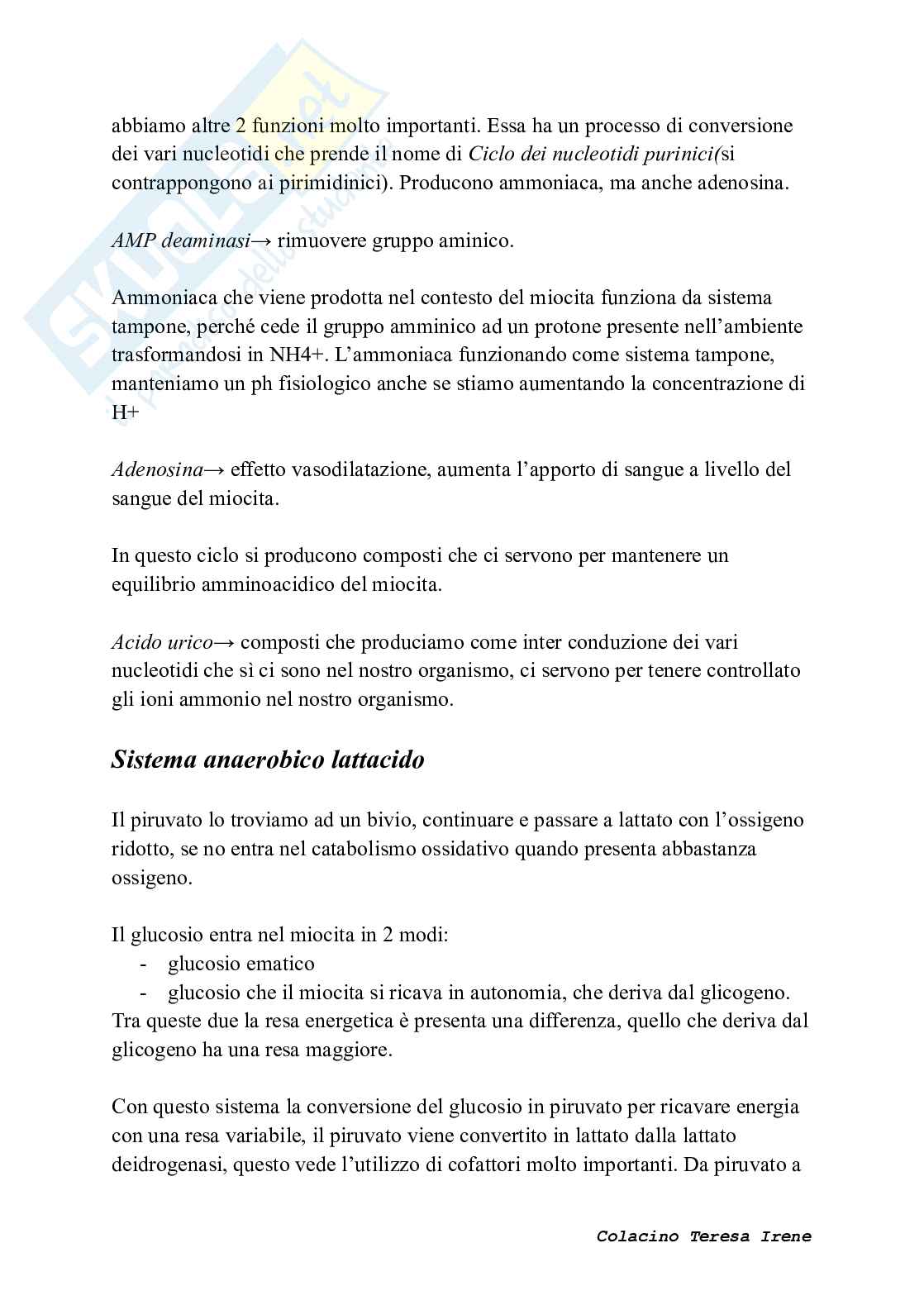 Biochimica dell’esercizio fisico: meccanismi di contrazione e adattamento ad allenamento  Pag. 26