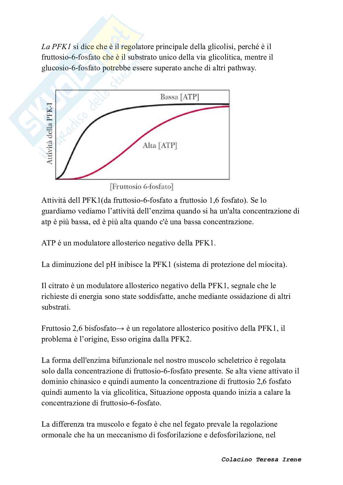 Biochimica dell’esercizio fisico: meccanismi di contrazione e adattamento ad allenamento  Pag. 31