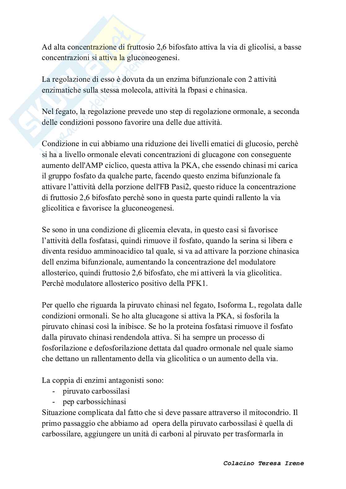 Biochimica dell’esercizio fisico: meccanismi di contrazione e adattamento ad allenamento  Pag. 36