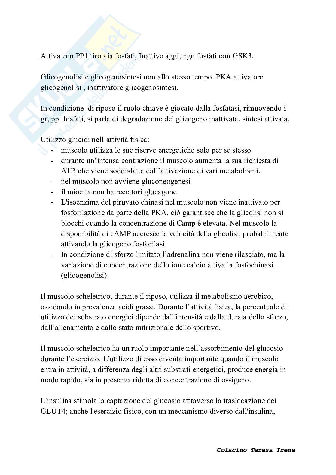 Biochimica dell’esercizio fisico: meccanismi di contrazione e adattamento ad allenamento  Pag. 41