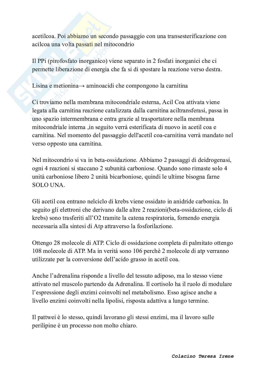 Biochimica dell’esercizio fisico: meccanismi di contrazione e adattamento ad allenamento  Pag. 46