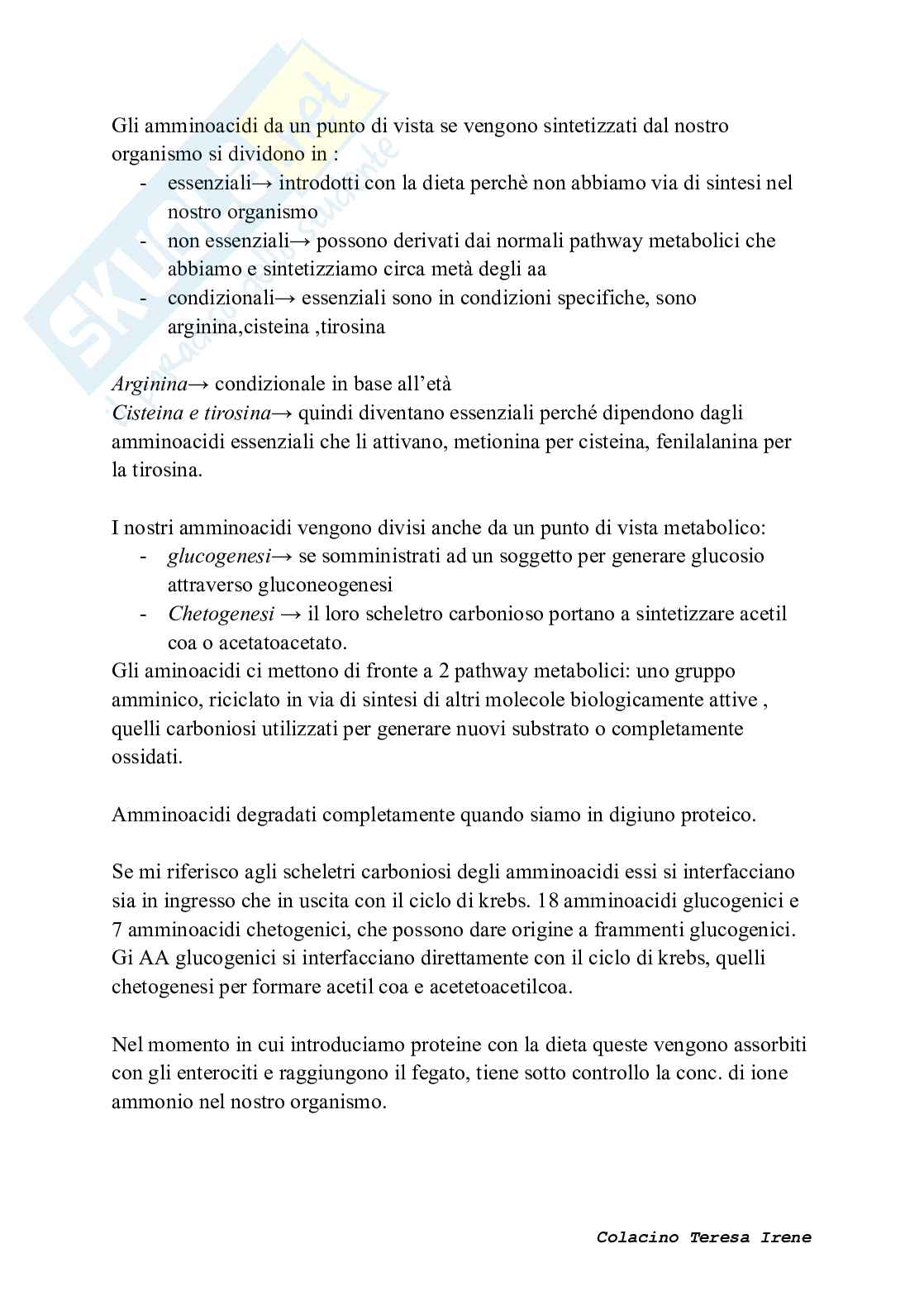 Biochimica dell’esercizio fisico: meccanismi di contrazione e adattamento ad allenamento  Pag. 56