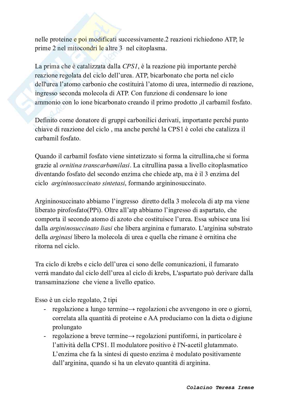 Biochimica dell’esercizio fisico: meccanismi di contrazione e adattamento ad allenamento  Pag. 61