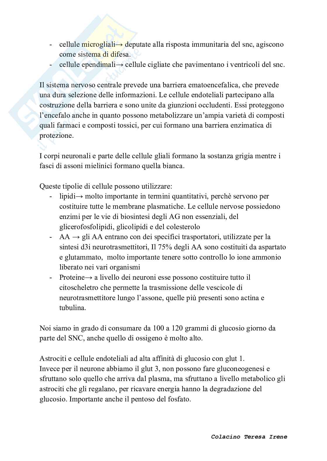 Biochimica dell’esercizio fisico: meccanismi di contrazione e adattamento ad allenamento  Pag. 66
