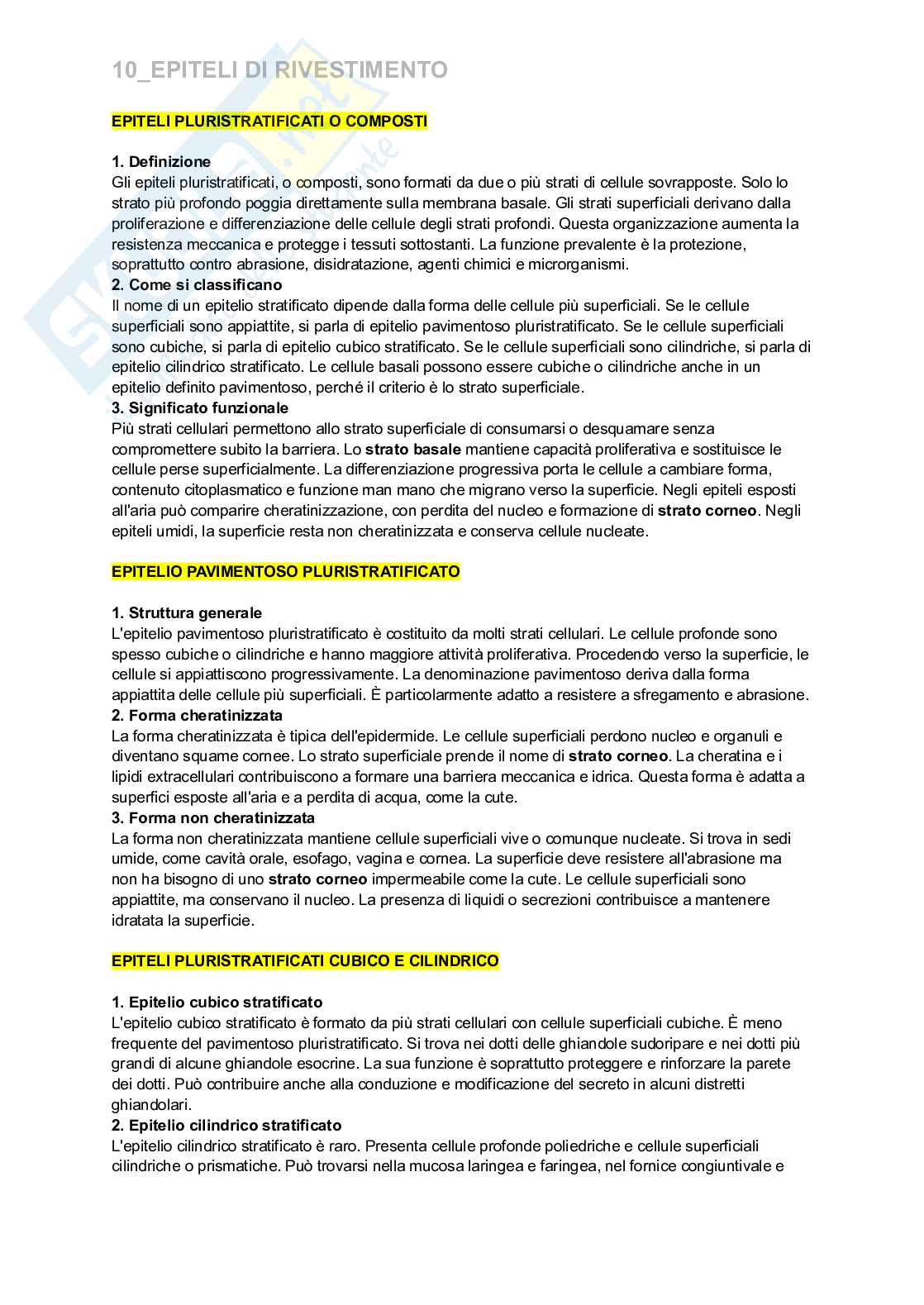 Riassunto esame Istologia e embriologia, Prof. Nervi Clara, libro consigliato Istologia, Monesi Pag. 11