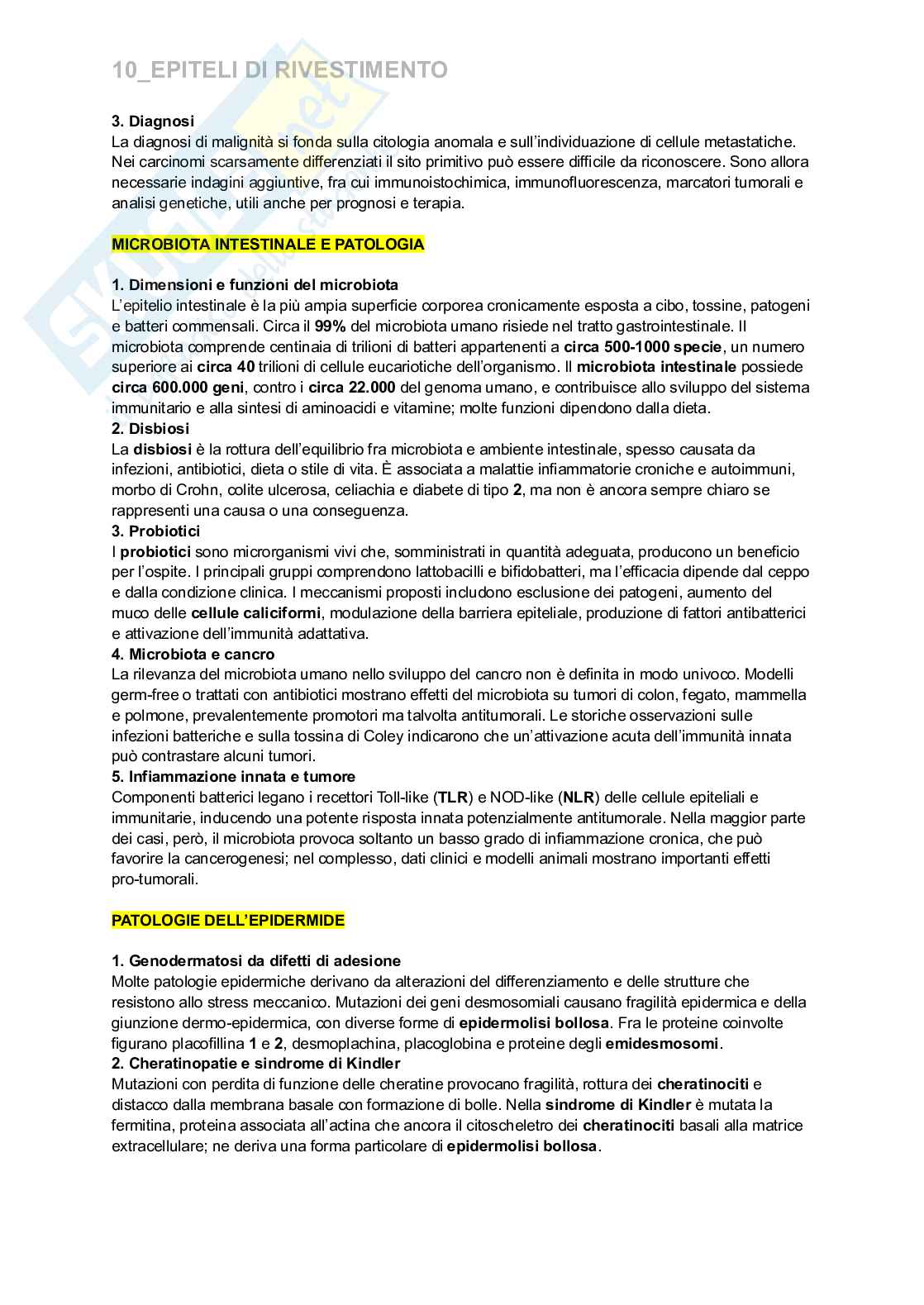 Riassunto esame Istologia e embriologia, Prof. Nervi Clara, libro consigliato Istologia, Monesi Pag. 21