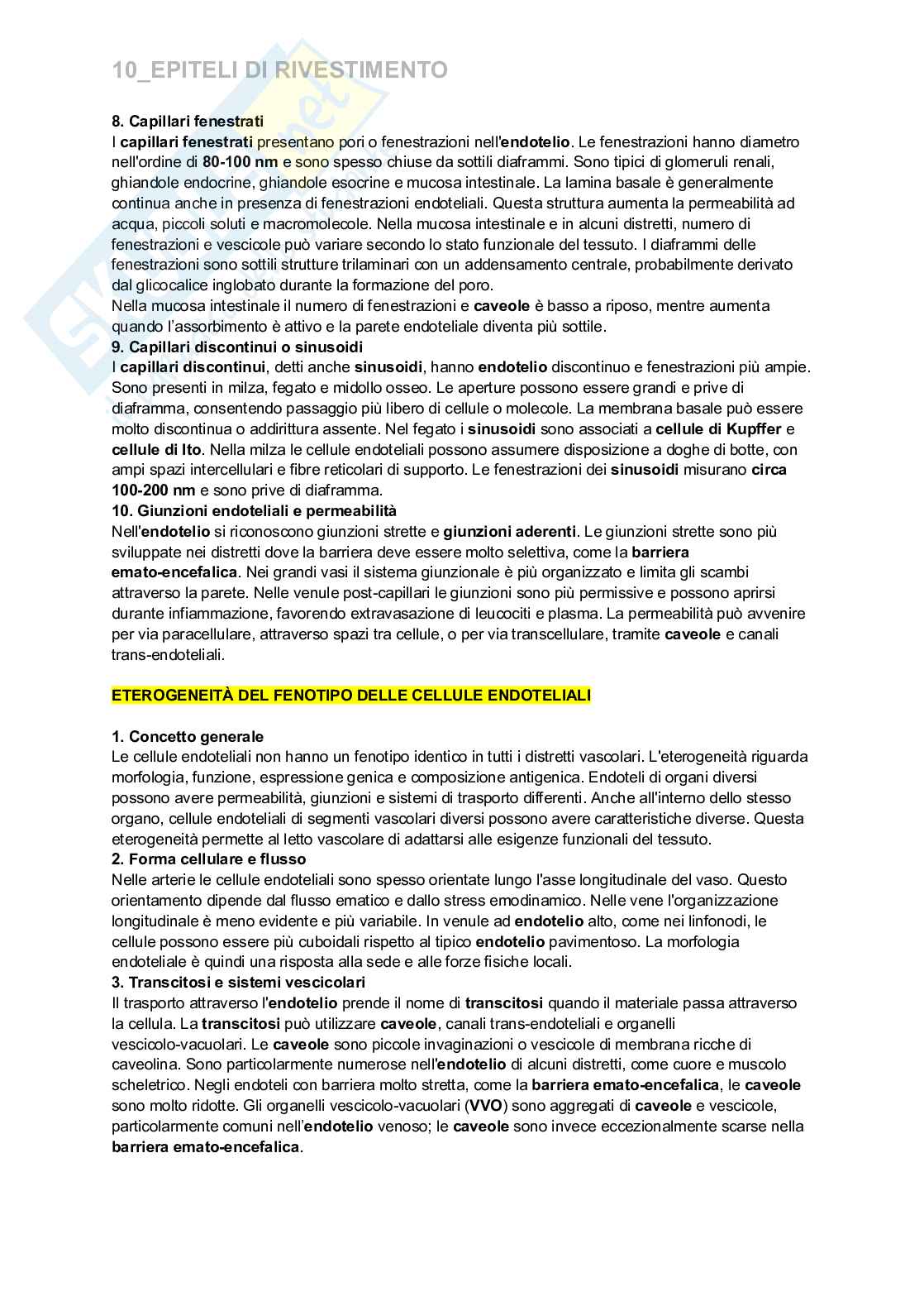Riassunto esame Istologia e embriologia, Prof. Nervi Clara, libro consigliato Istologia, Monesi Pag. 6