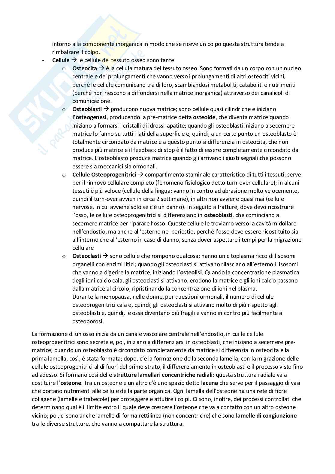 Appunti Anatomia Pag. 6
