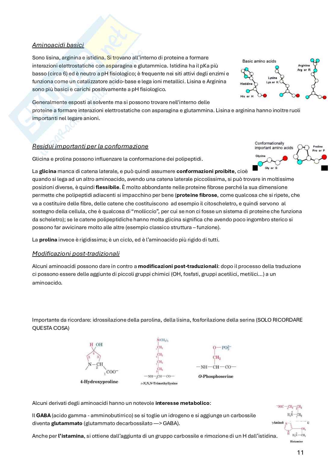Biochimica della nutrizione Pag. 11