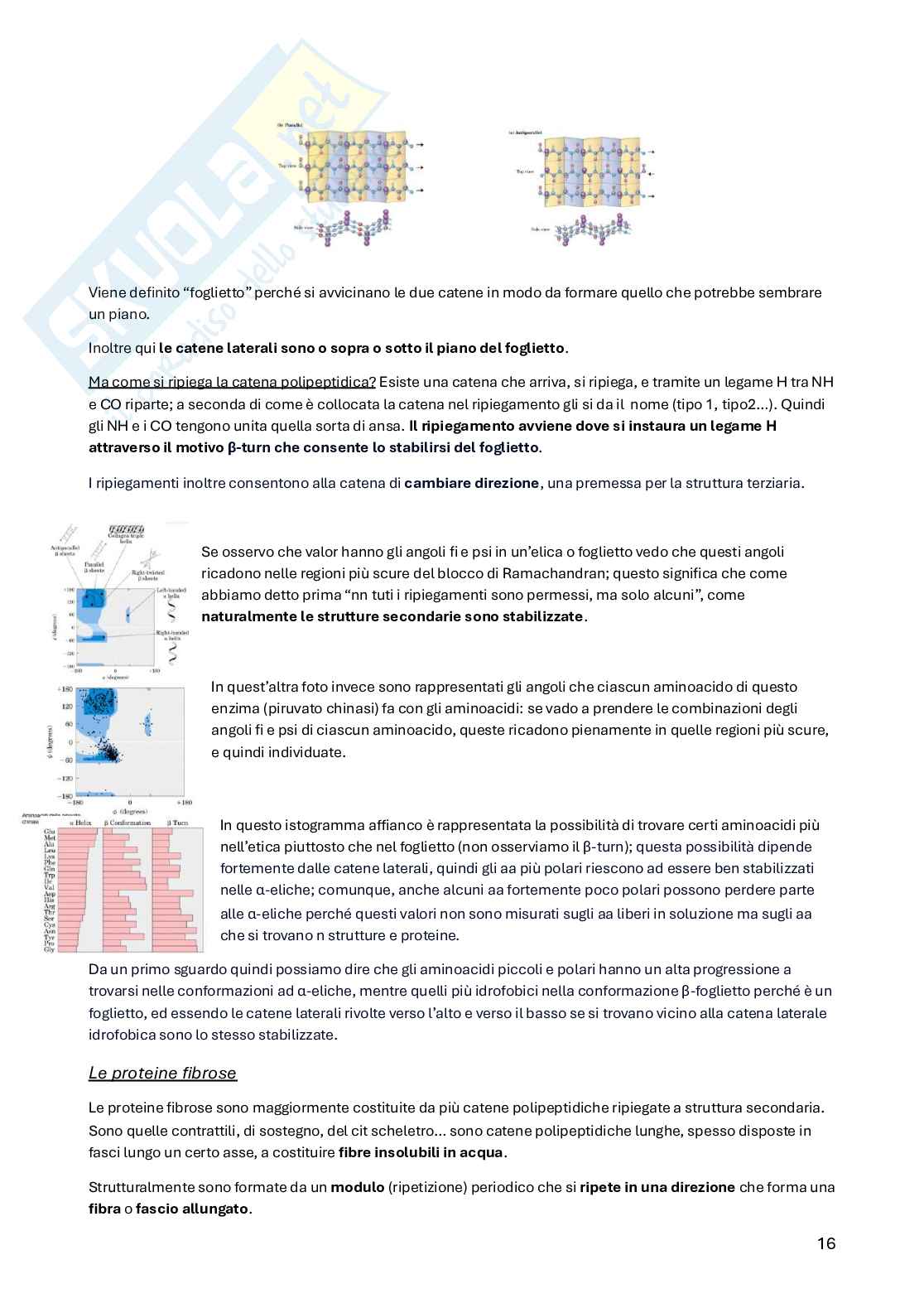 Biochimica della nutrizione Pag. 16