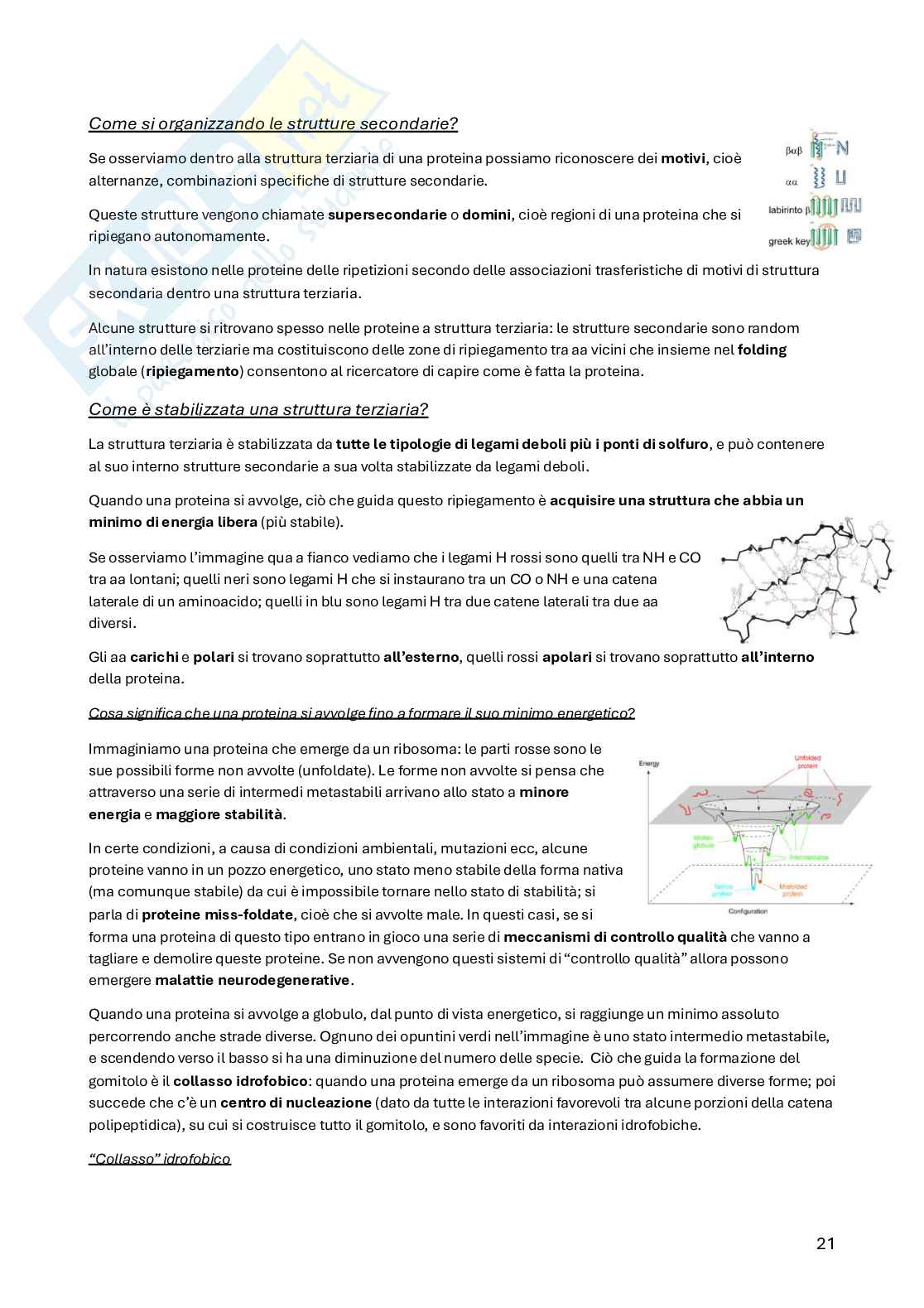 Biochimica della nutrizione Pag. 21