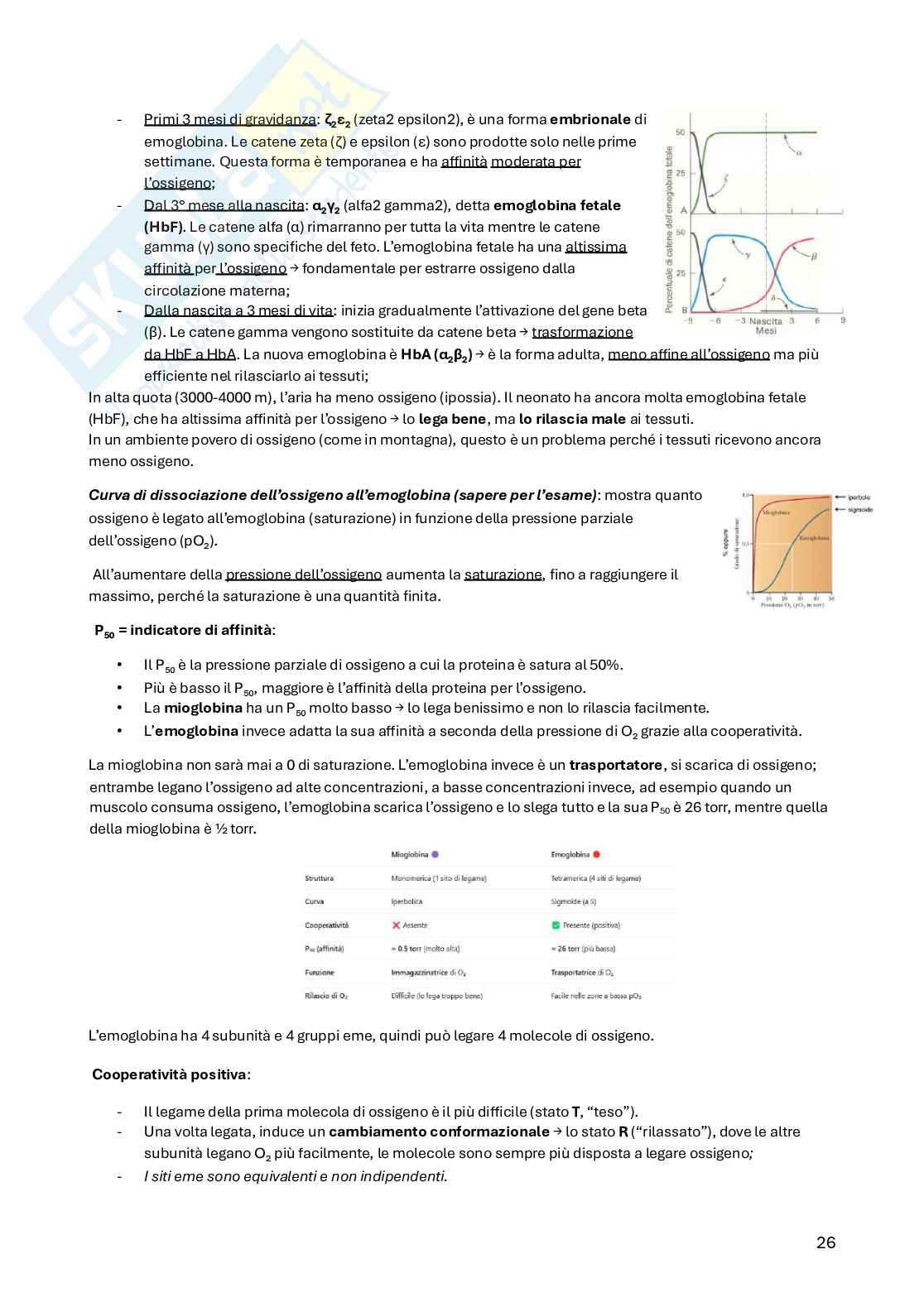 Biochimica della nutrizione Pag. 26