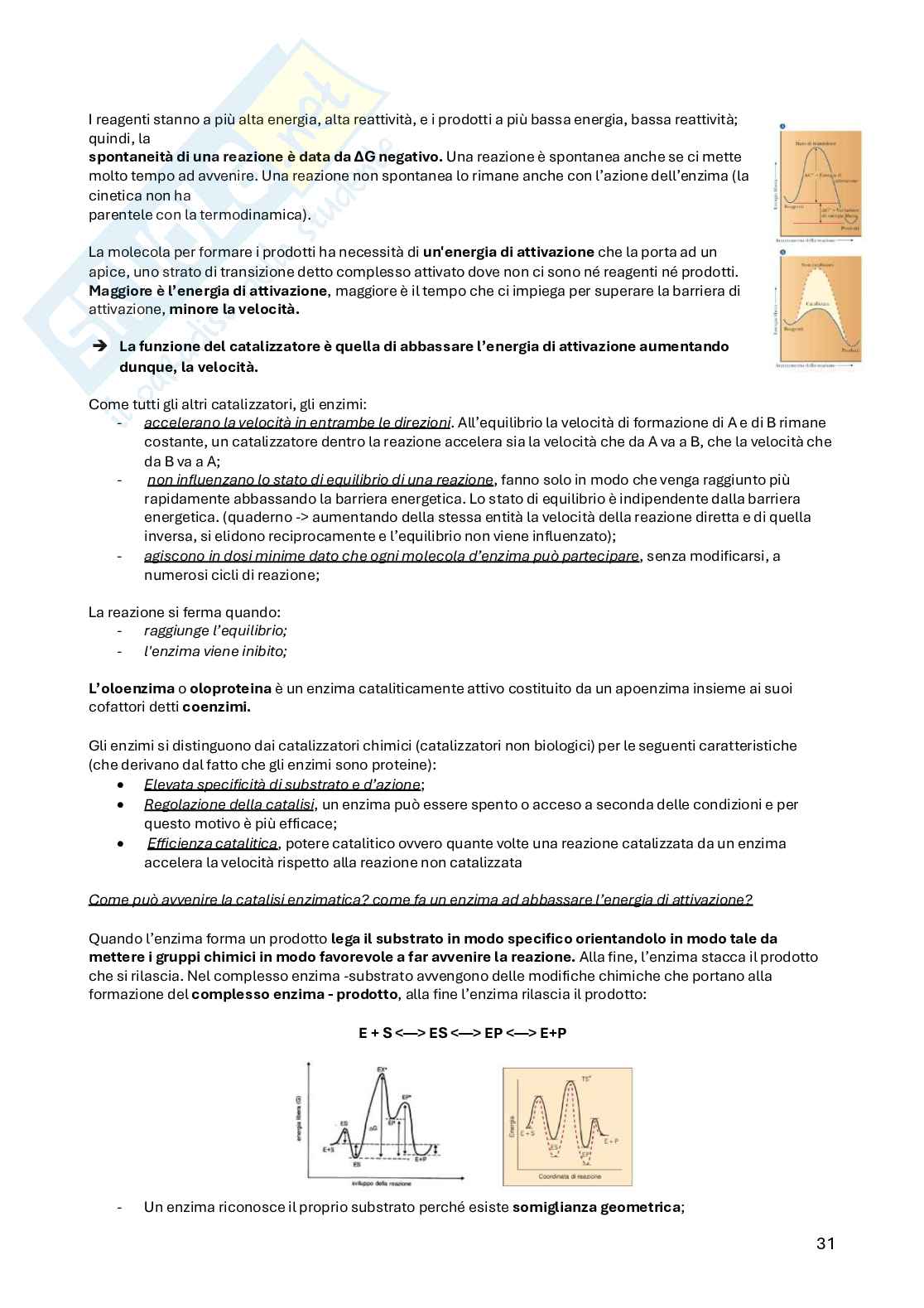 Biochimica della nutrizione Pag. 31