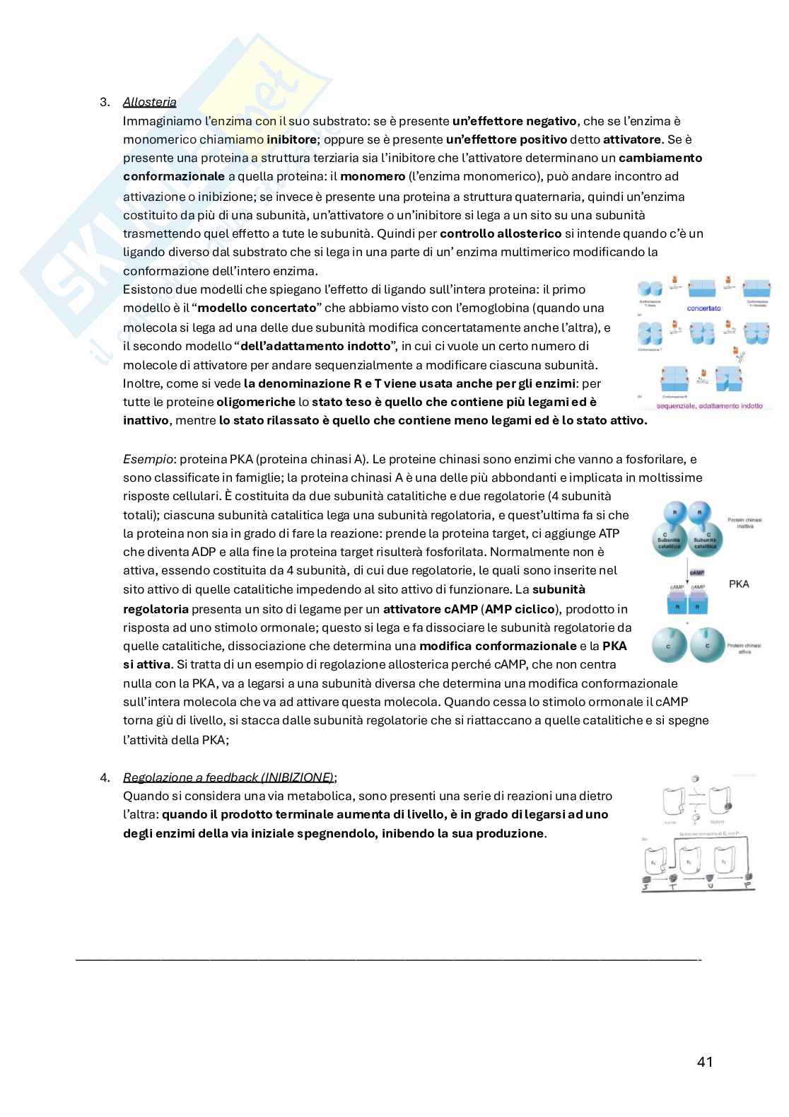 Biochimica della nutrizione Pag. 41