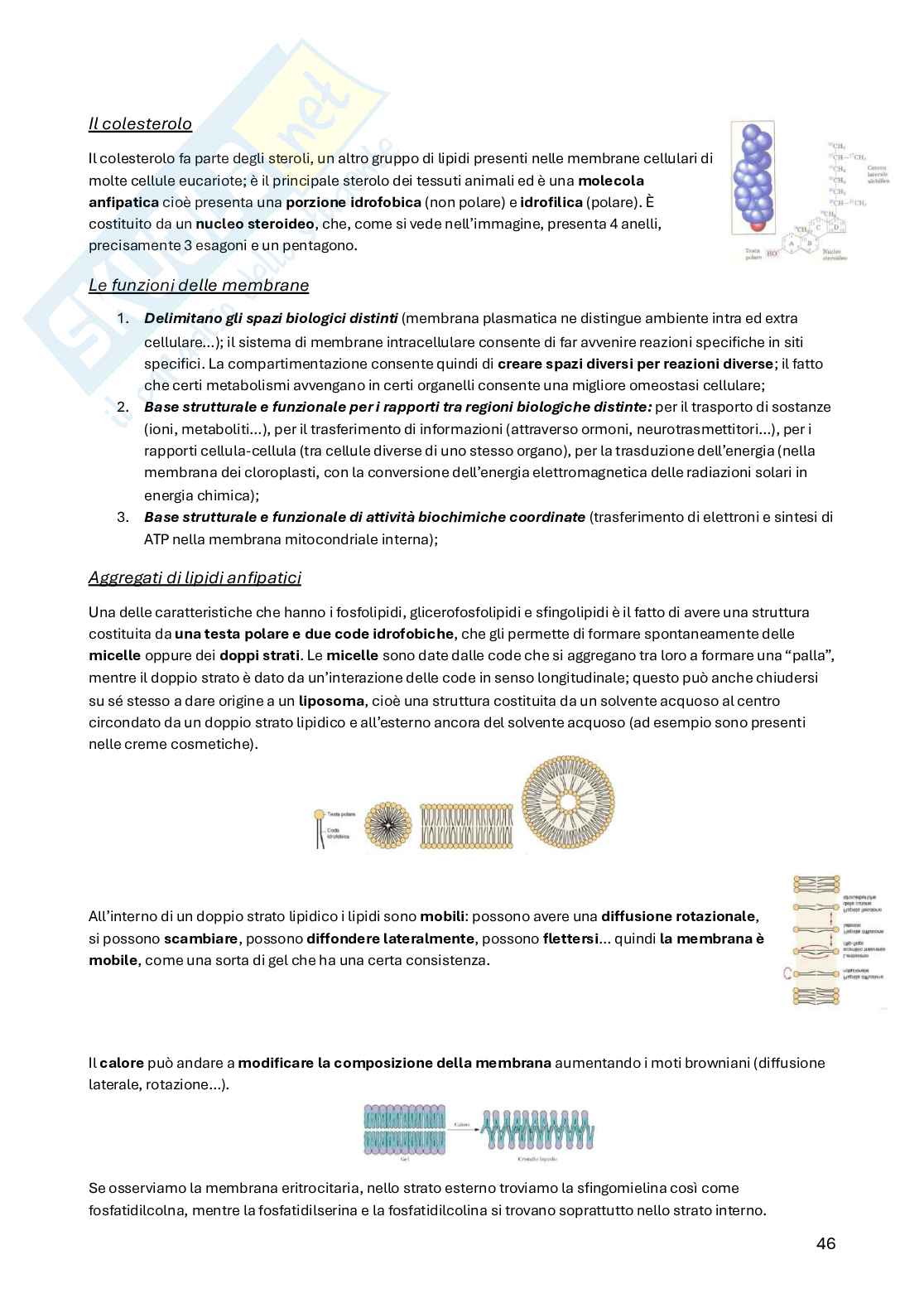Biochimica della nutrizione Pag. 46
