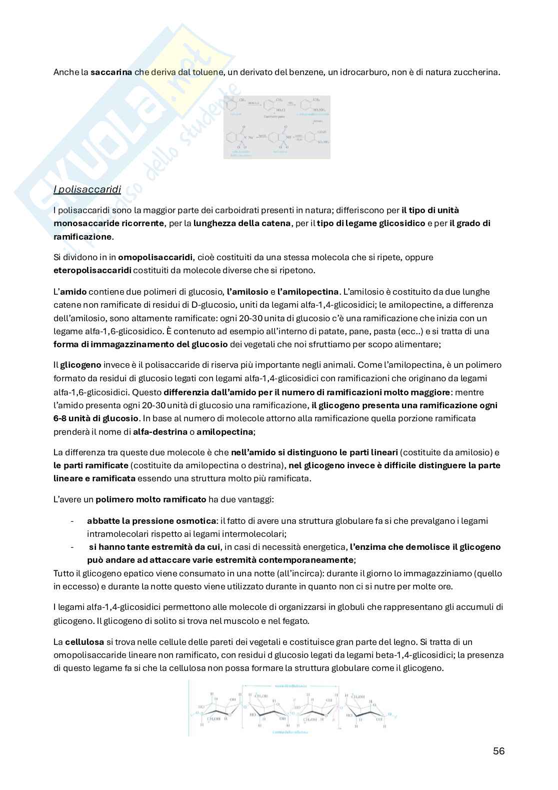 Biochimica della nutrizione Pag. 56