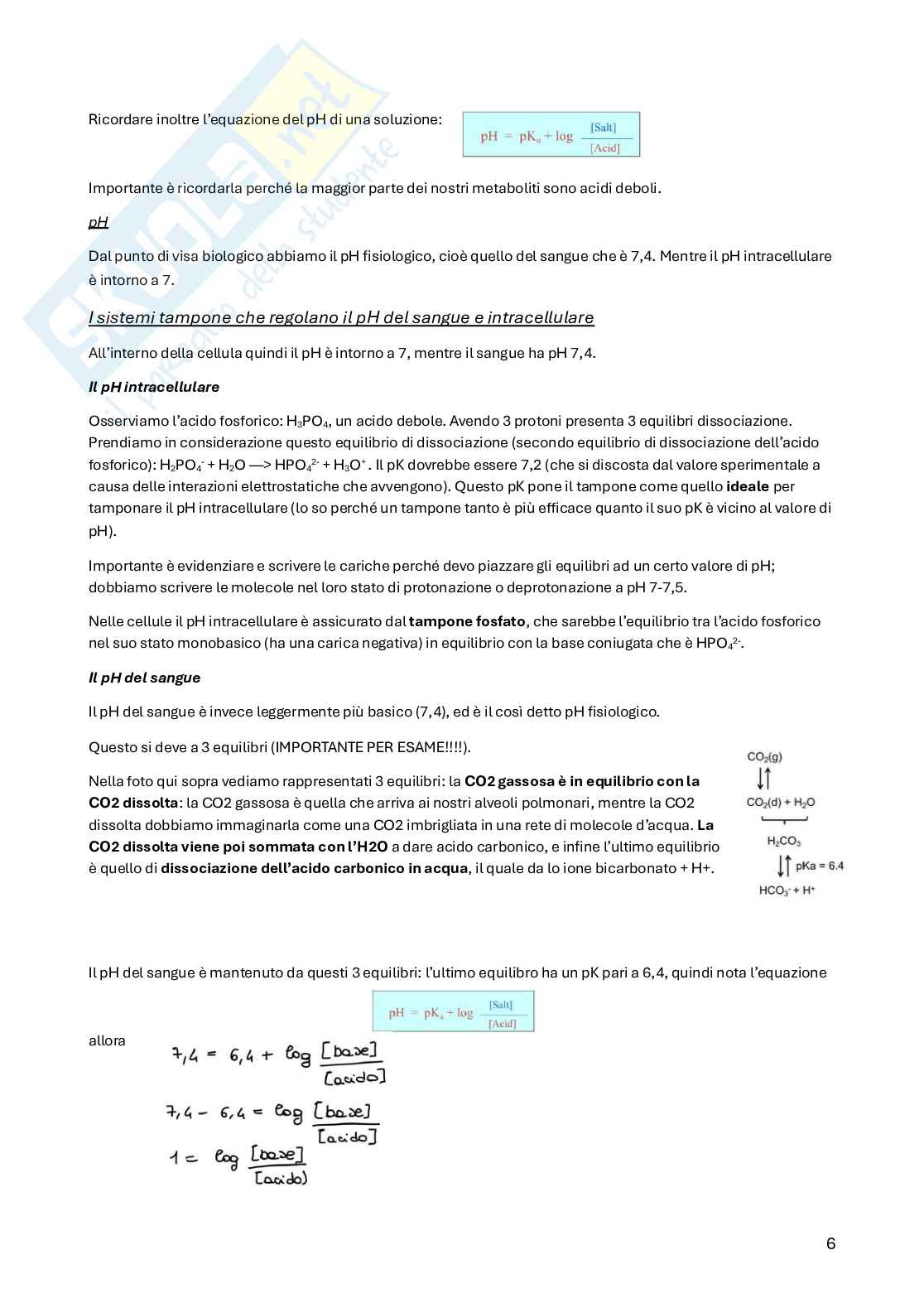 Biochimica della nutrizione Pag. 6