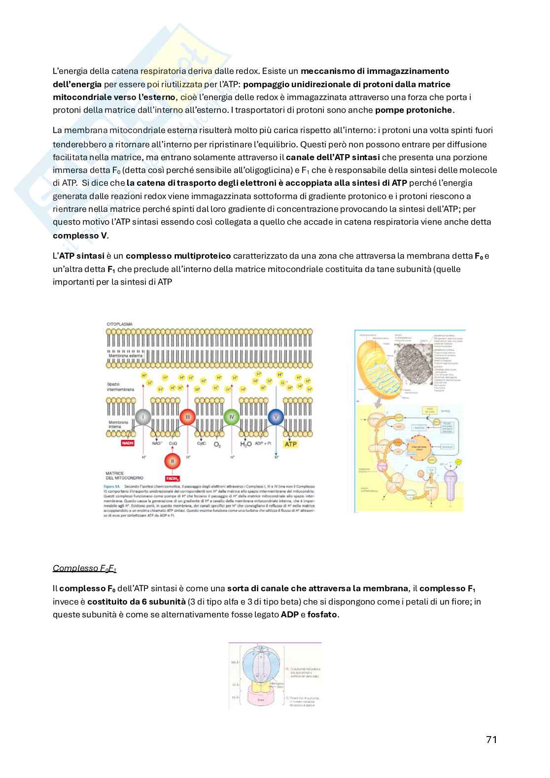 Biochimica della nutrizione Pag. 71