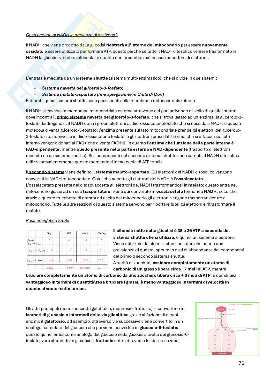 Biochimica della nutrizione Pag. 76