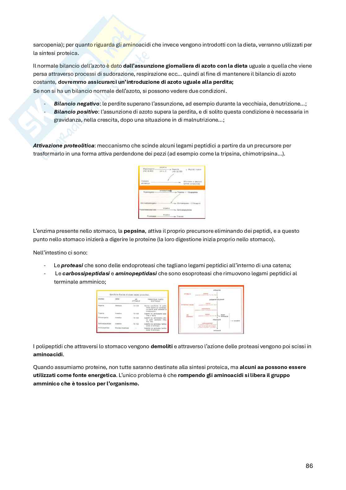 Biochimica della nutrizione Pag. 86