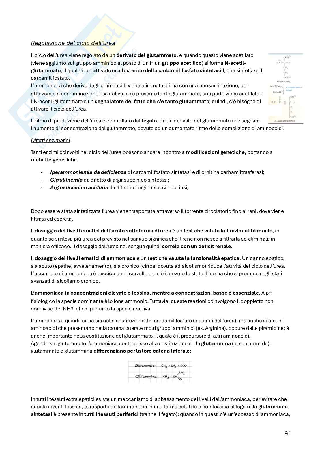 Biochimica della nutrizione Pag. 91