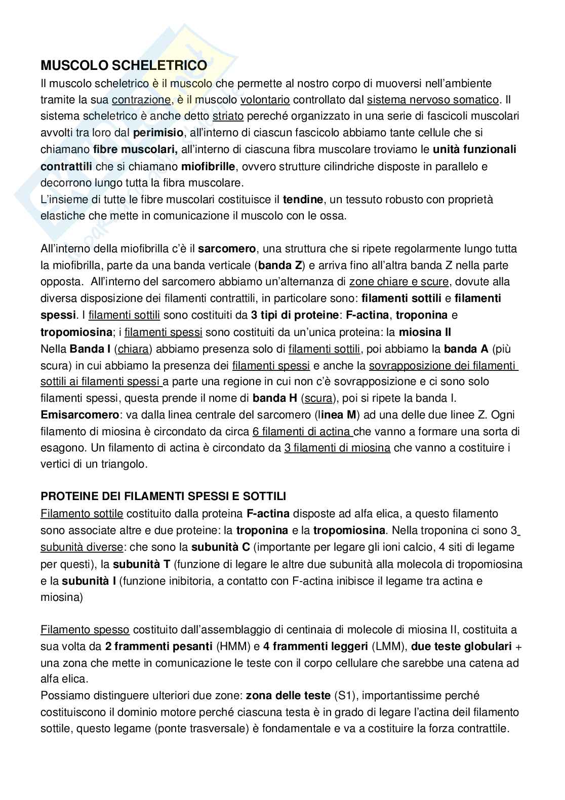 Appunti Fisiologia 1 e 2 Pag. 16