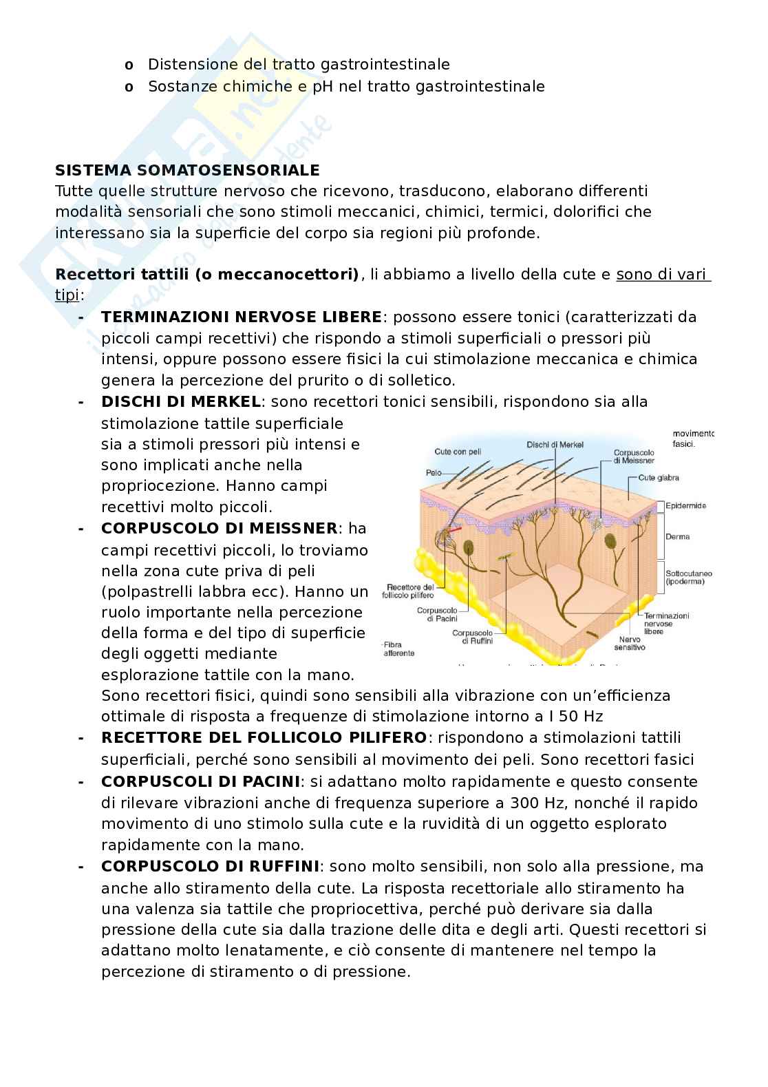 Appunti Fisiologia 1 e 2 Pag. 31