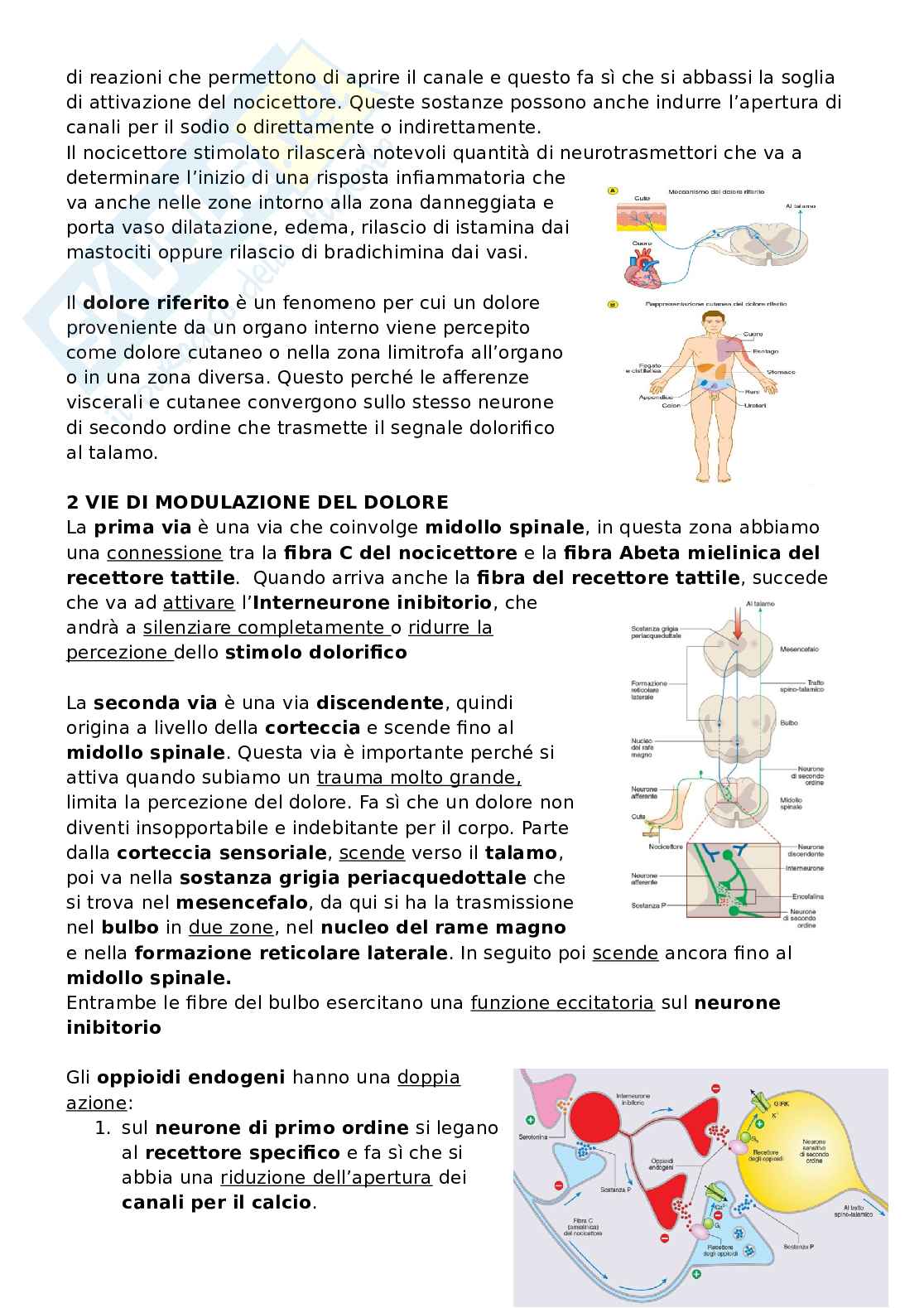 Appunti Fisiologia 1 e 2 Pag. 36