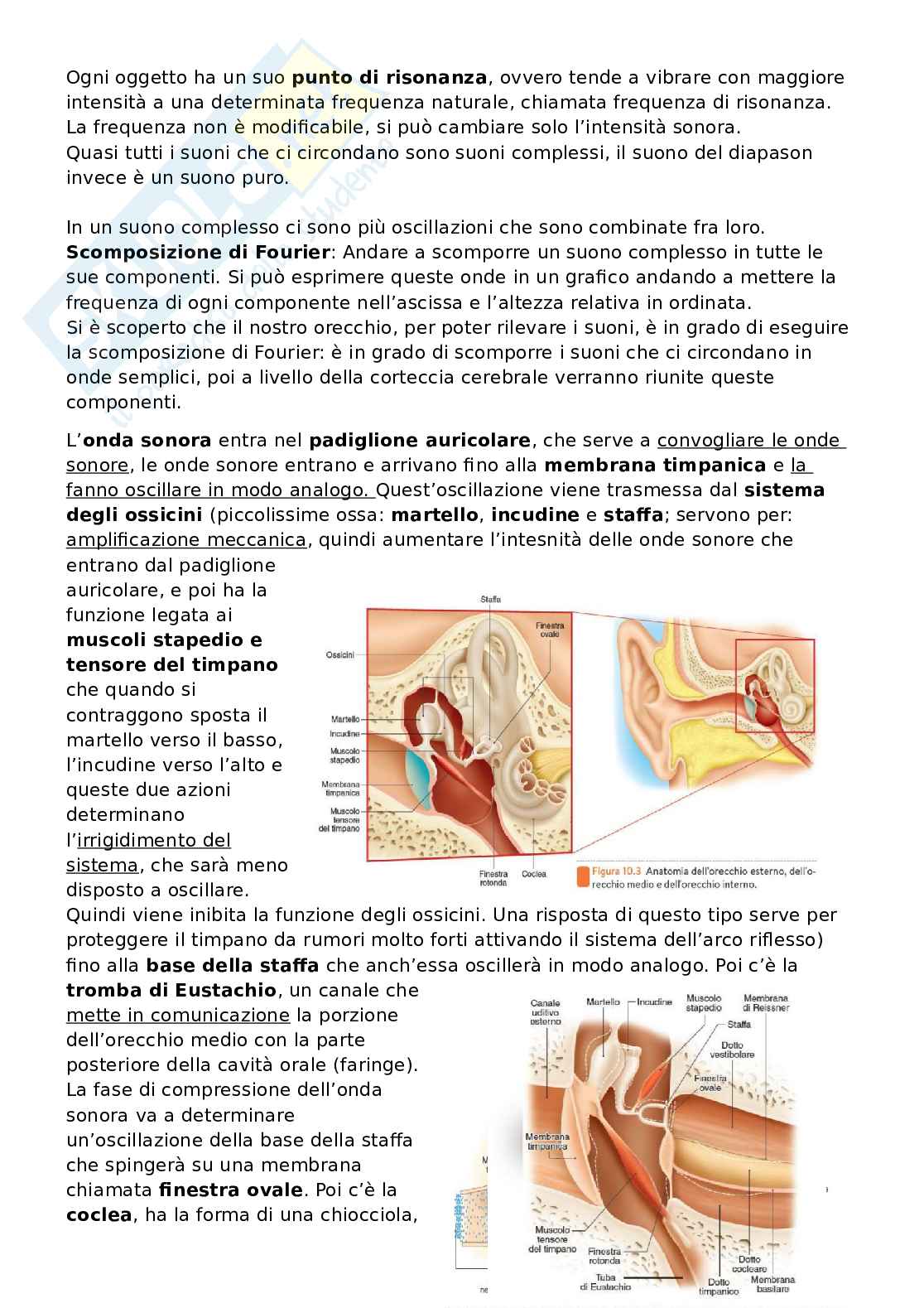 Appunti Fisiologia 1 e 2 Pag. 41