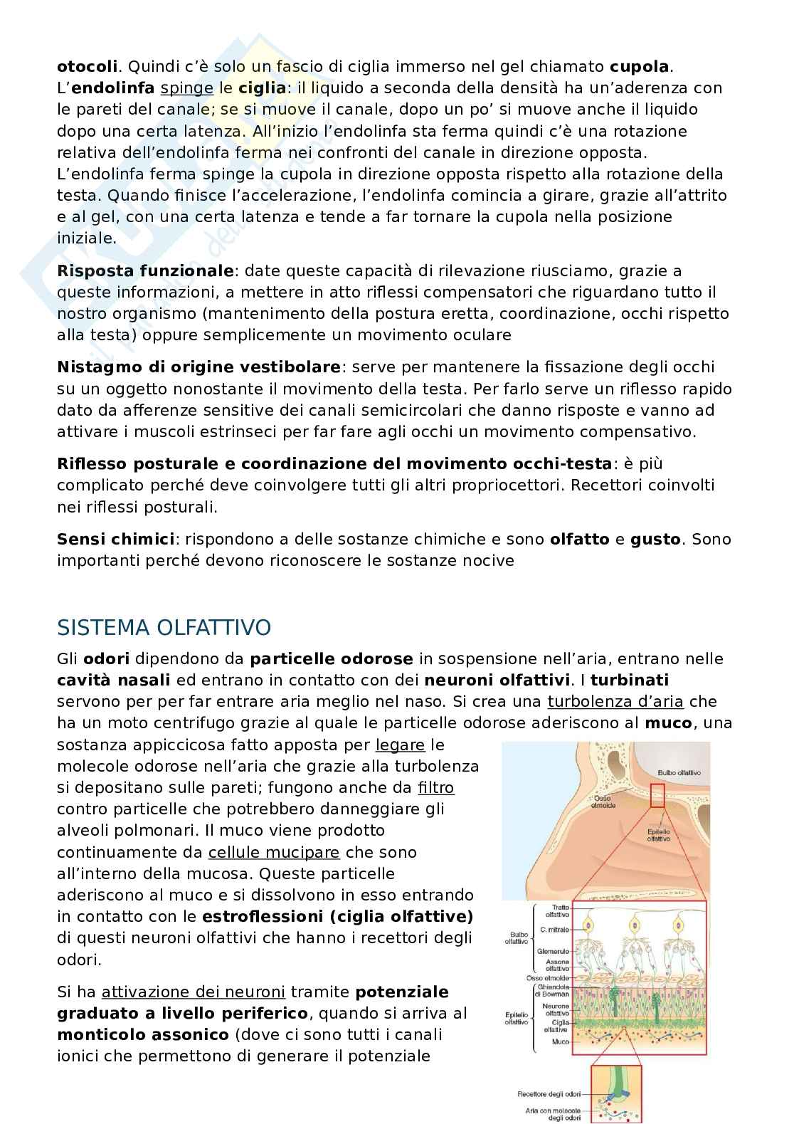 Appunti Fisiologia 1 e 2 Pag. 46