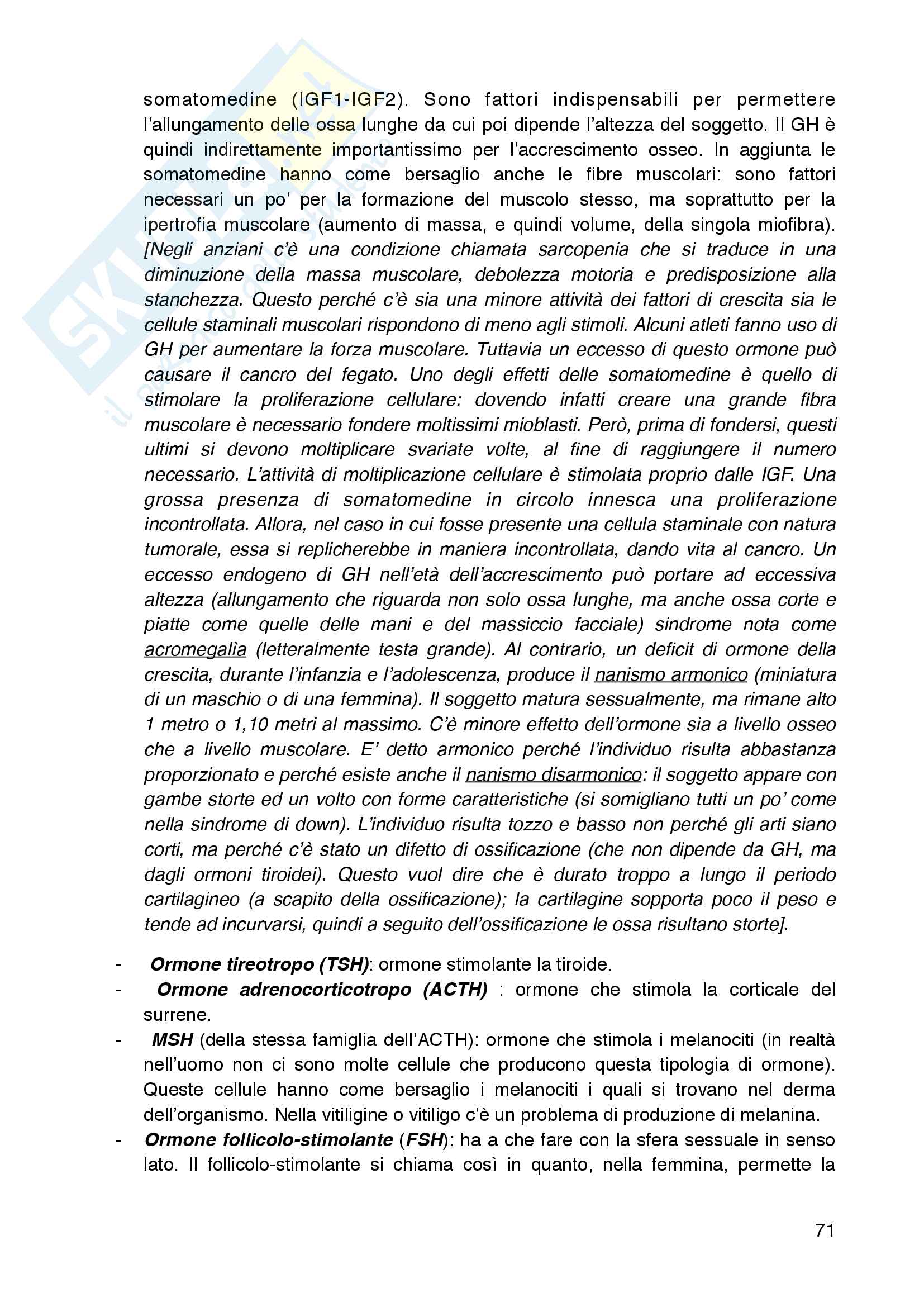 Anatomia  umana : medicina Pag. 71