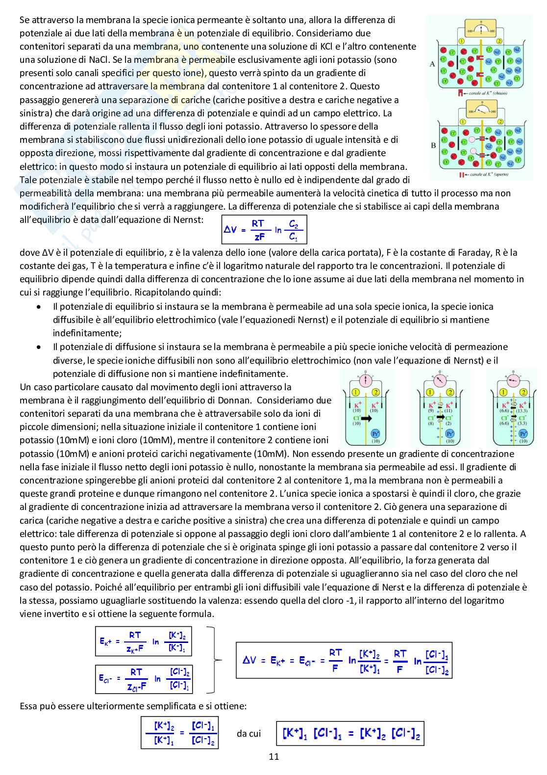Fisiologia generale - Appunti d'esame completi Pag. 11