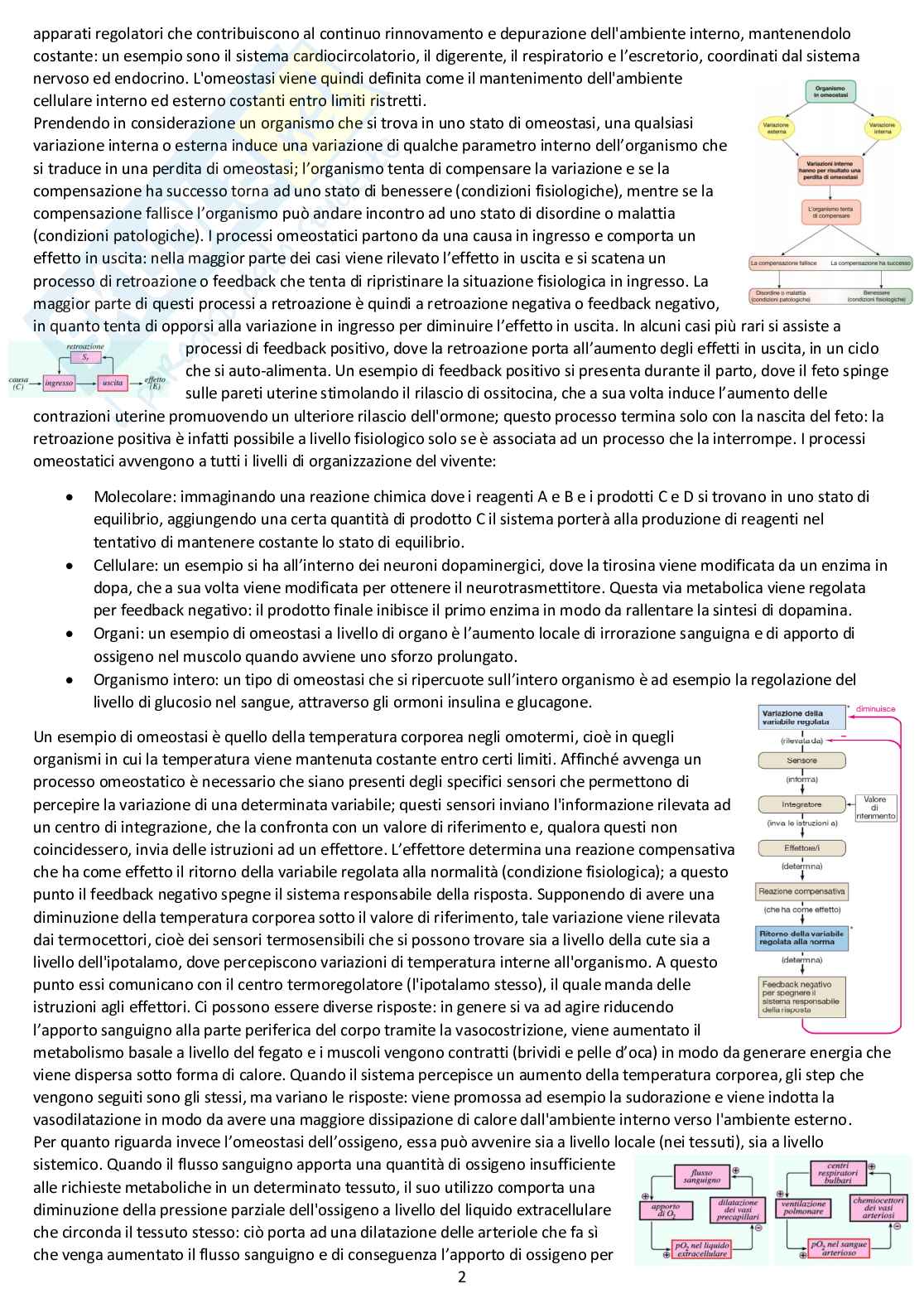 Fisiologia generale - Appunti d'esame completi Pag. 2