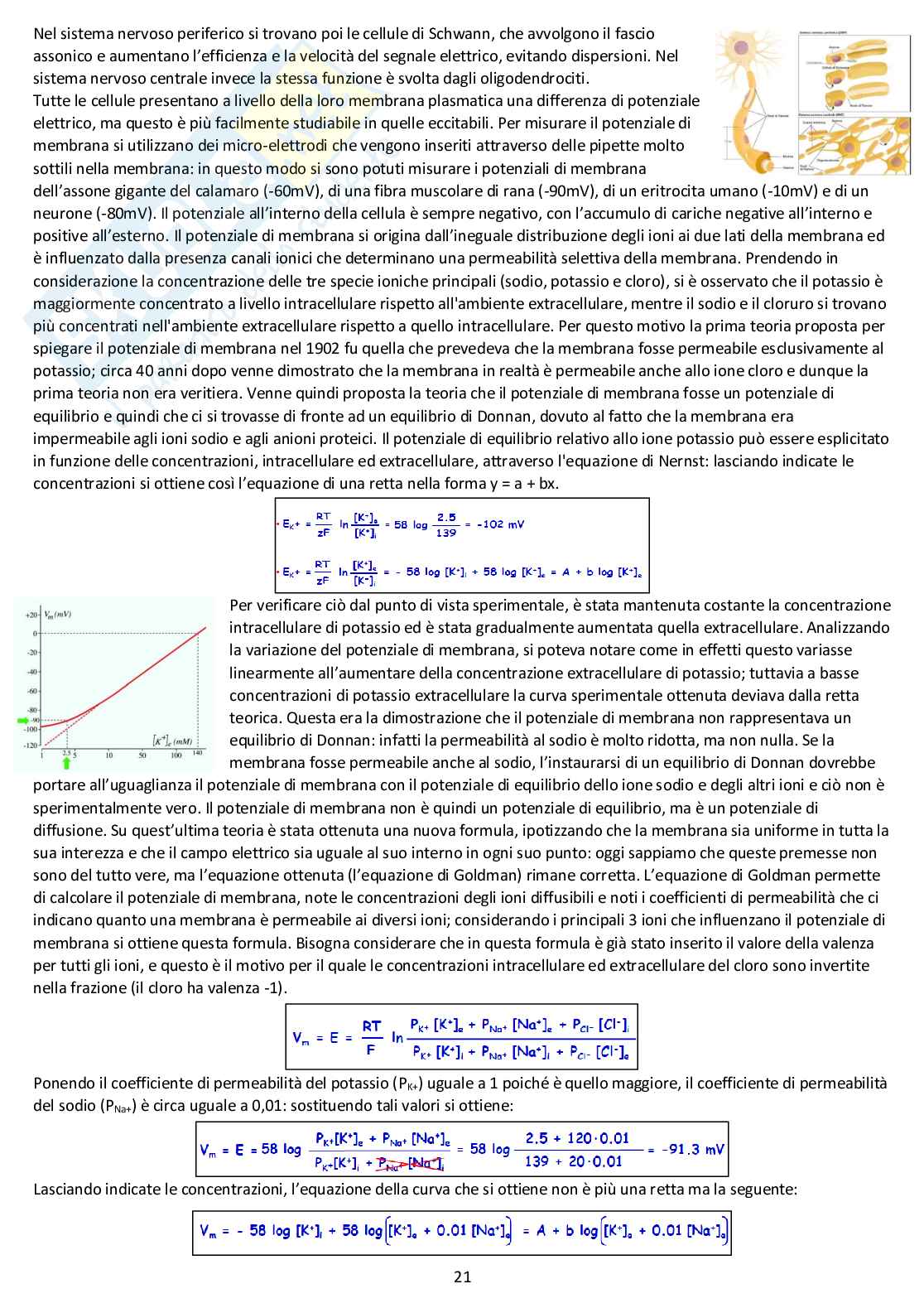 Fisiologia generale - Appunti d'esame completi Pag. 21