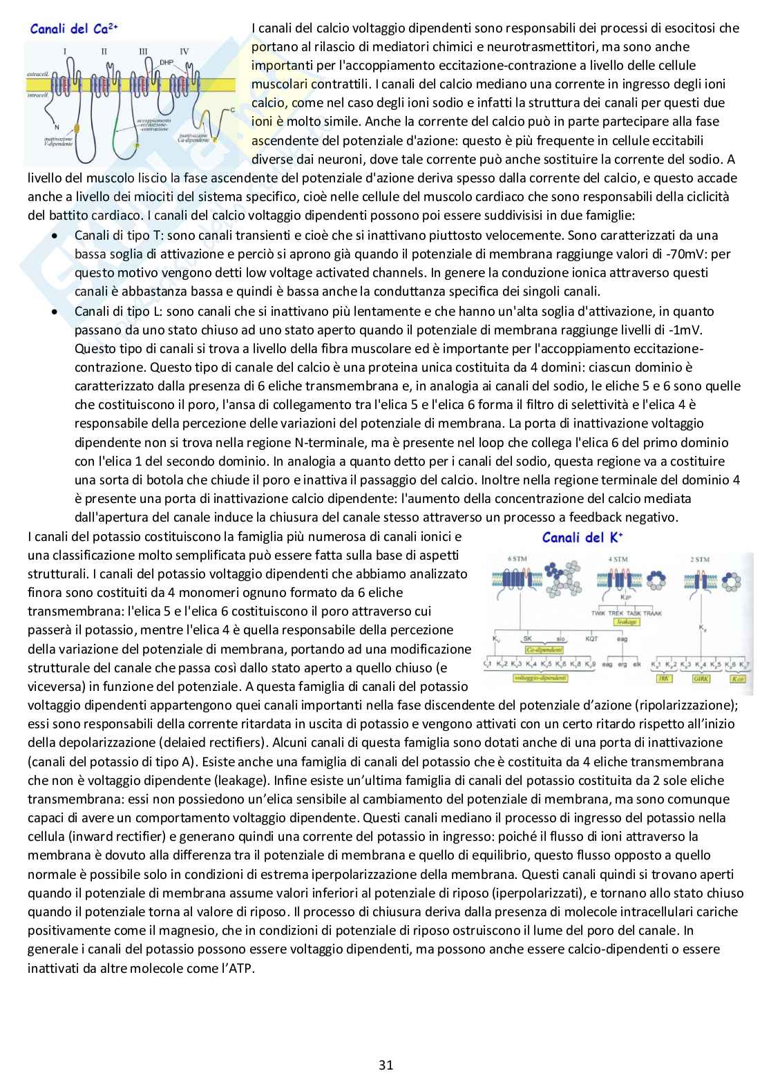 Fisiologia generale - Appunti d'esame completi Pag. 31