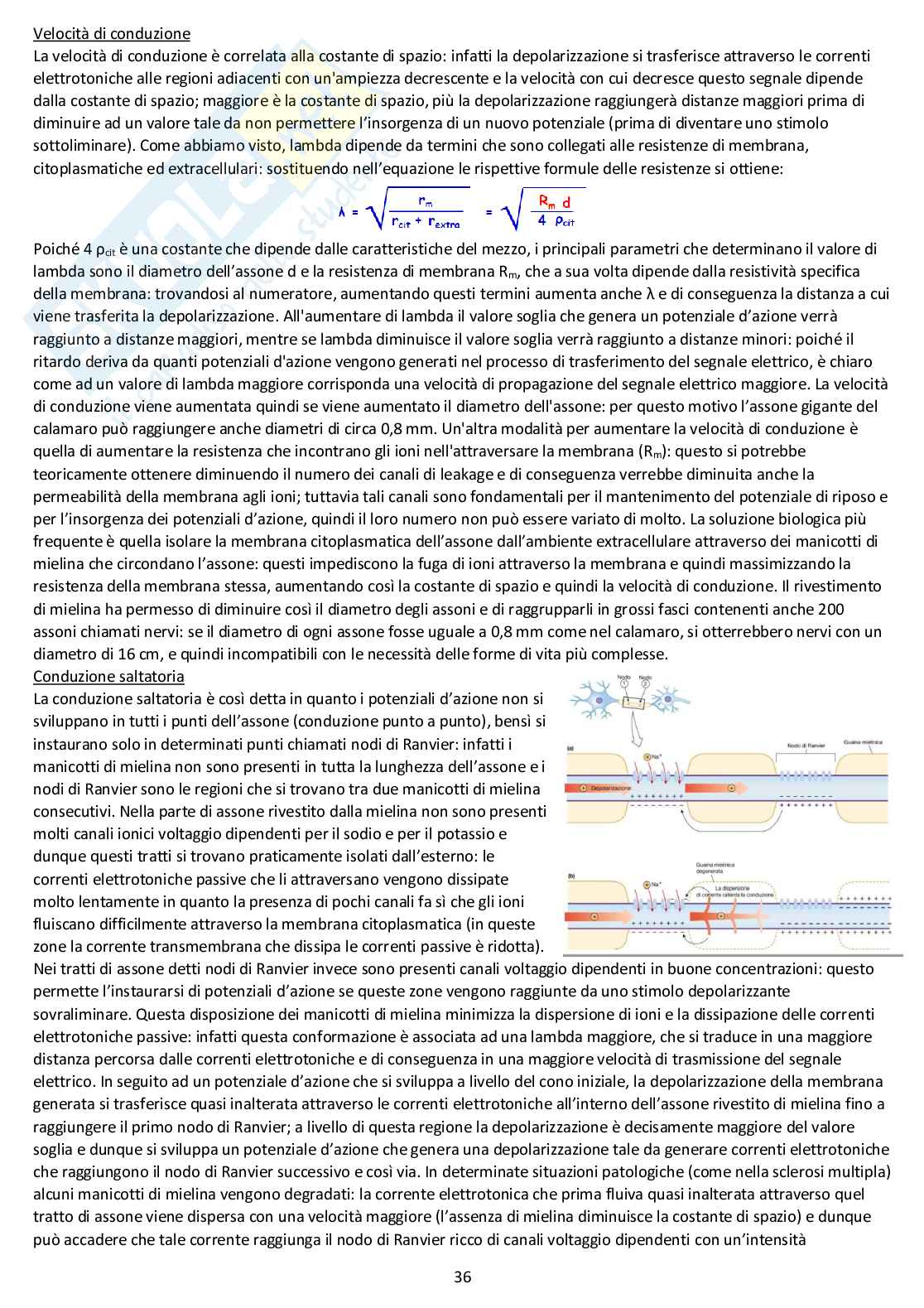 Fisiologia generale - Appunti d'esame completi Pag. 36